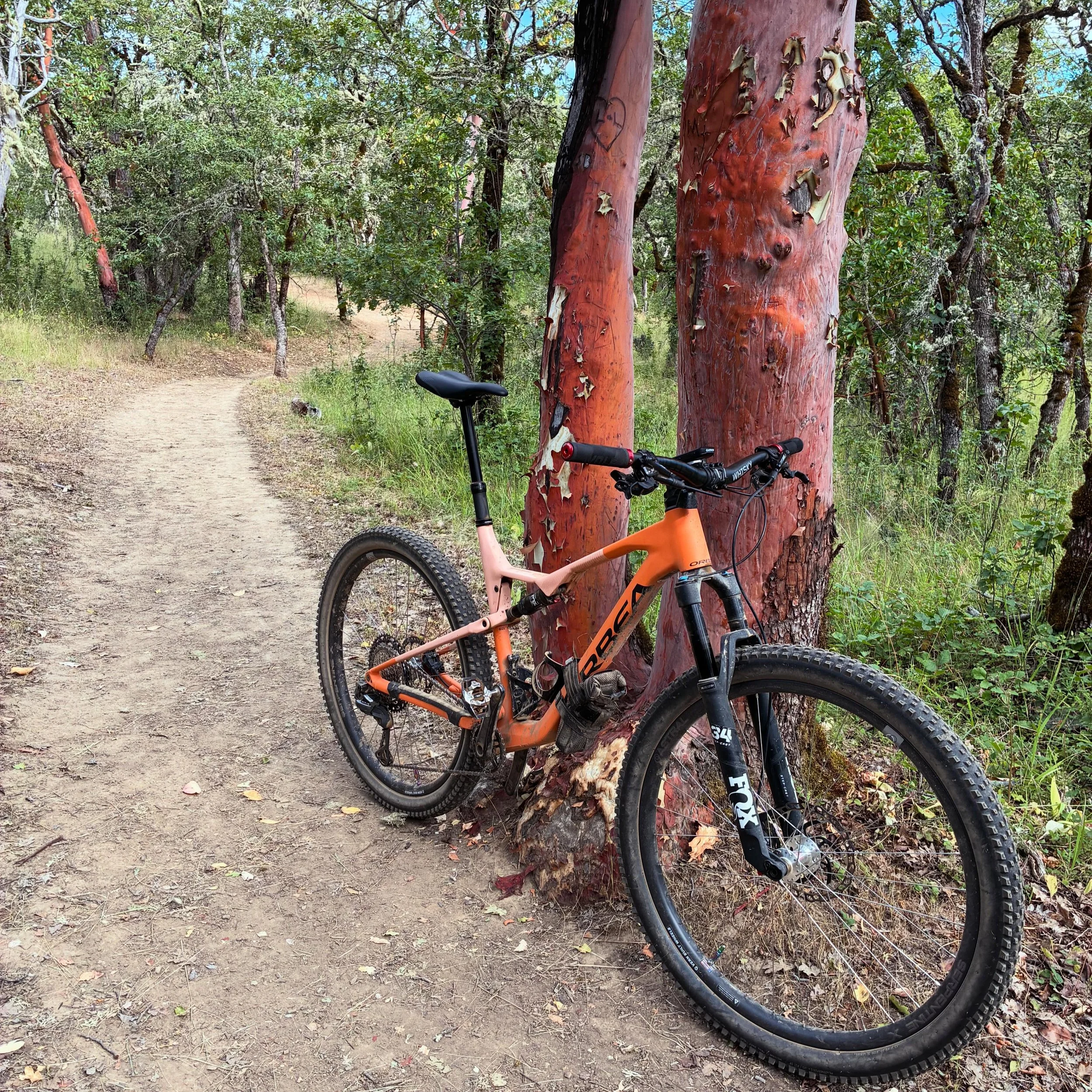 Views on the morning commute. #viewsonthemorningcommute #ilovethesmellofsingletrackinthemorning #hortonhearsawho #mtbroguevalley #visitjacksonvilleoregon