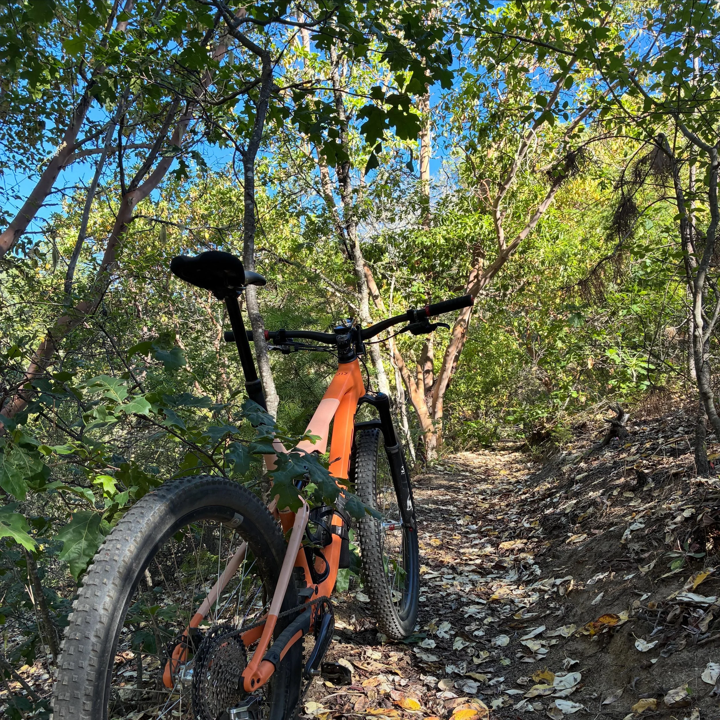 Views on the morning commute. #viewsonthemorningcommute #ilovethesmellofsingletrackinthemorning #stopsndsmelltheflowers #visitjacksonvilleoregon #mtbroguevalley