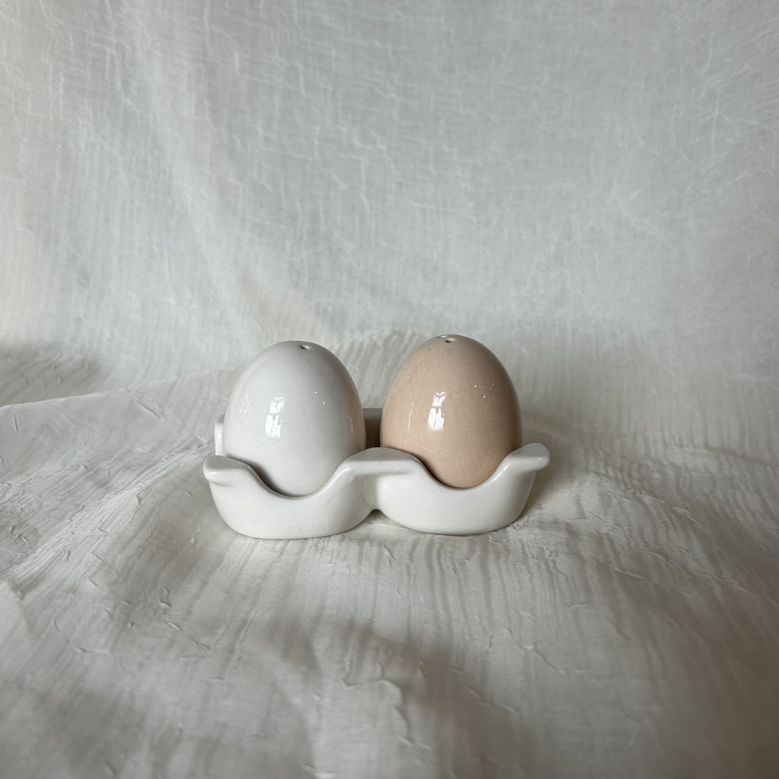 Egg Carton S/P Shaker