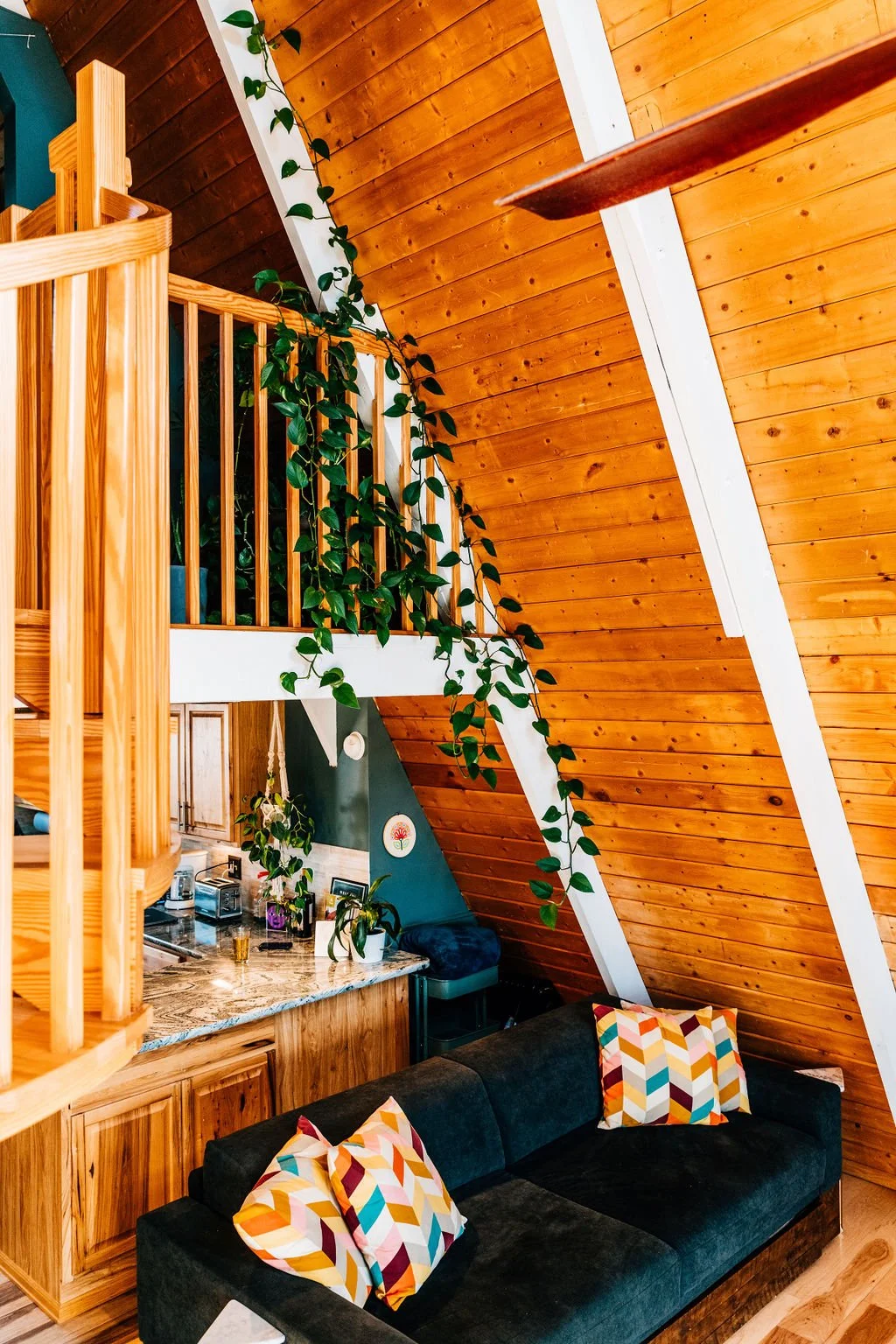 ANP_20230429_plant large.jpg