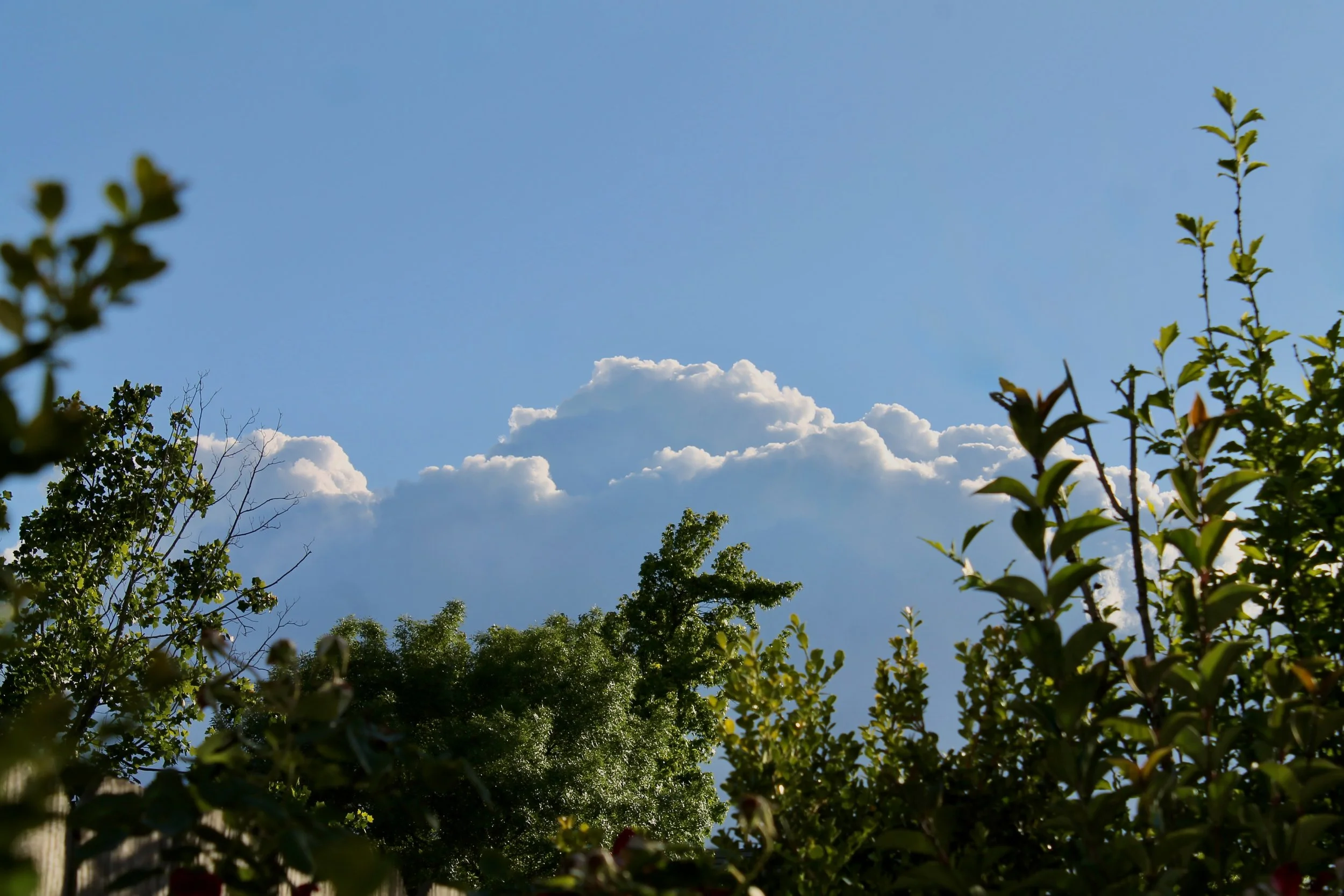 Backyard Clouds.JPG