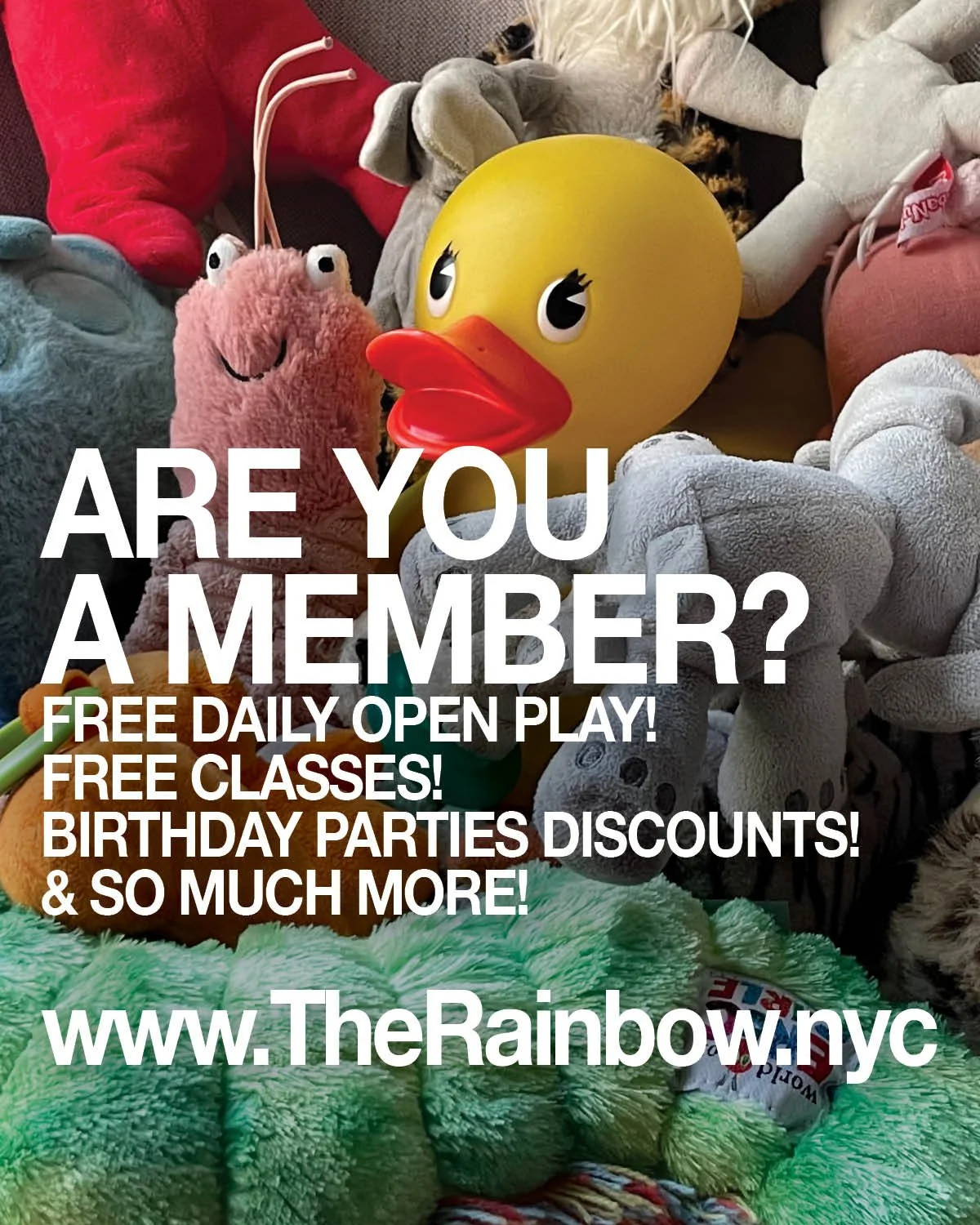 Are you a member? Free daily open play! Special meetups and classes! Discounts on Birthday Parties! And many more perks! Join the funnest children&rsquo;s indoor play space in the world (or the East Village)!

www.TheRainbowNYC.com/membership