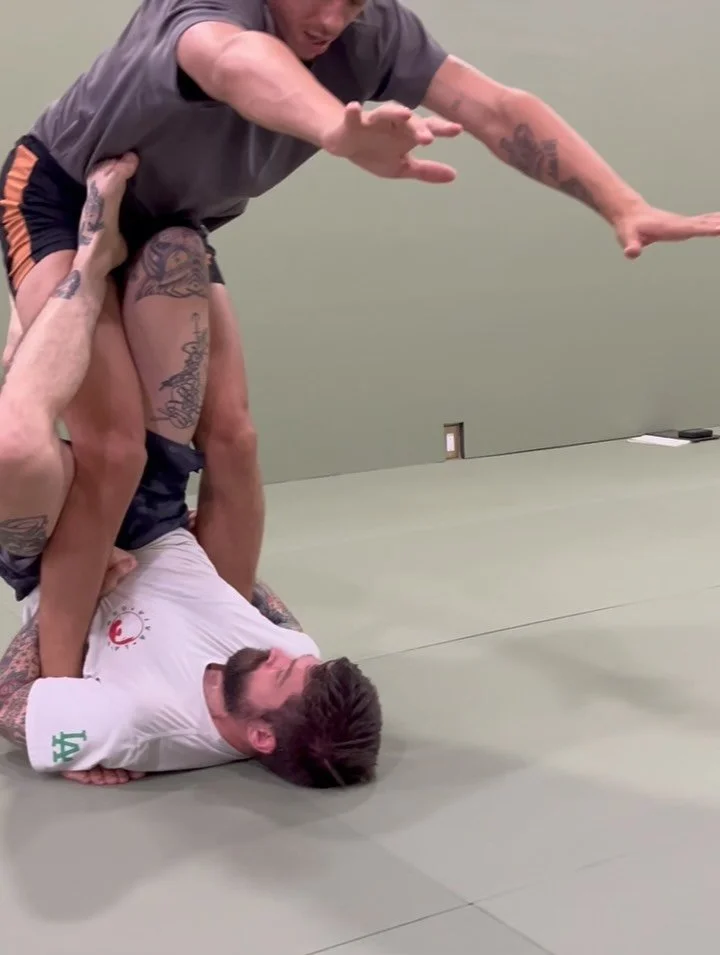 There are no rules written in the clouds that define what it means to be a martial artist. Don&rsquo;t let decades of fear and gatekeeping color your perception of what jiu-jitsu can be. Challenge yourself, do what works, be well-rounded.

#whyignore