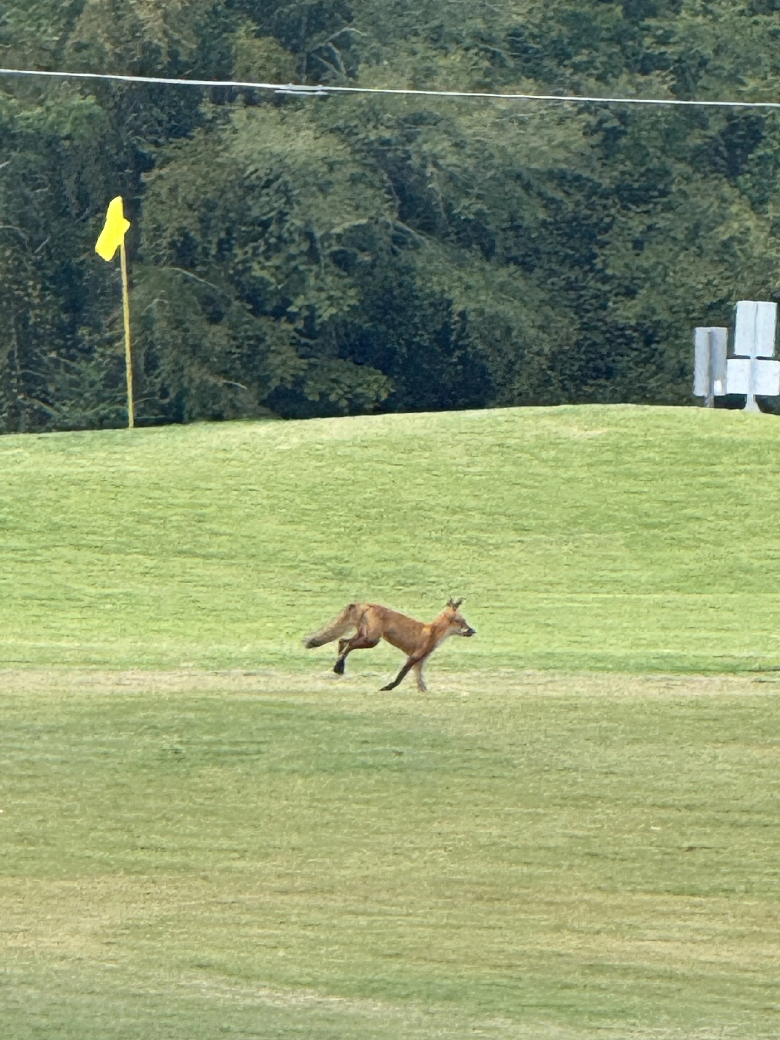 IMG_0762.jpg