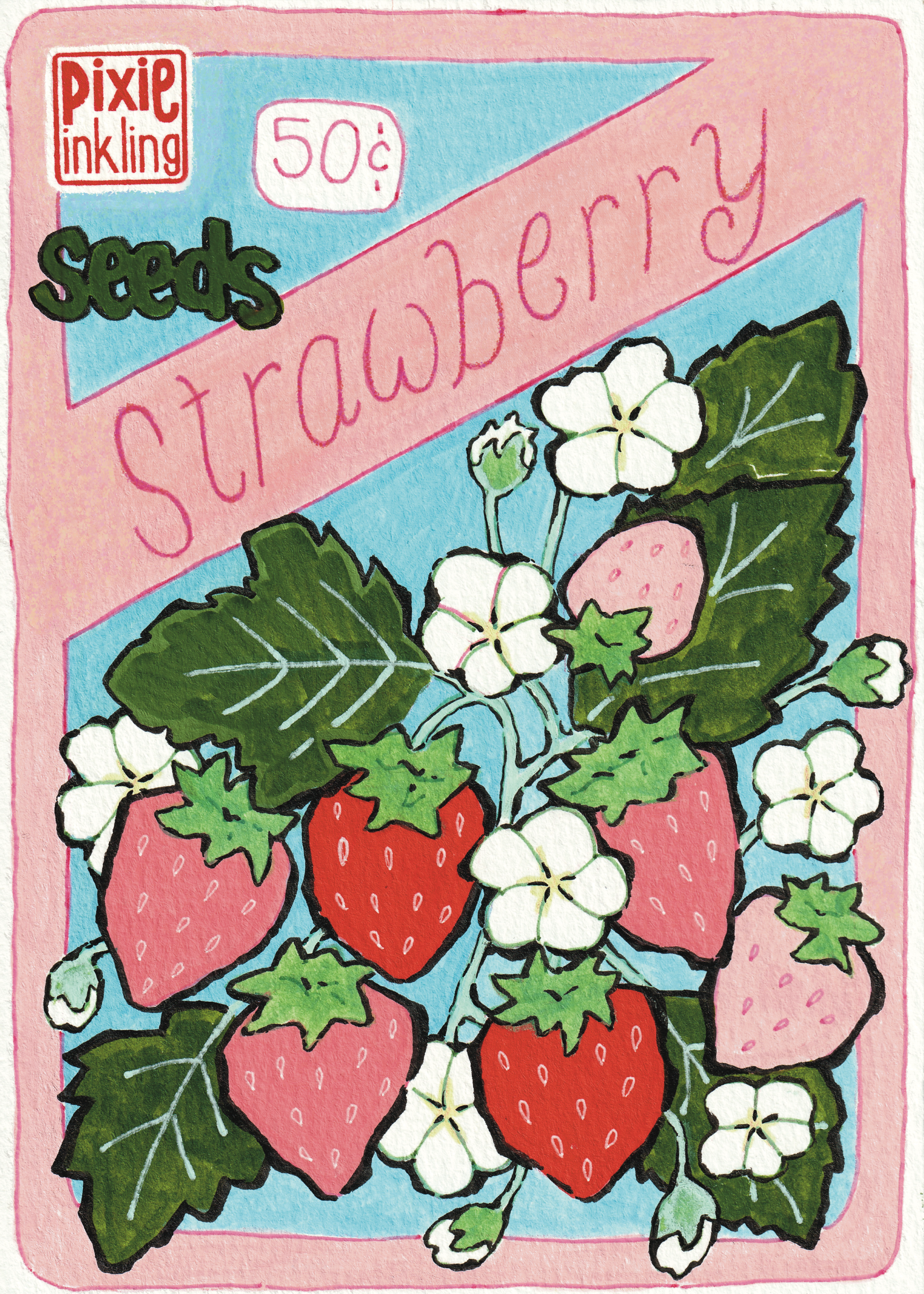 Strawberry Seed Packet Art - Framed Original Painting