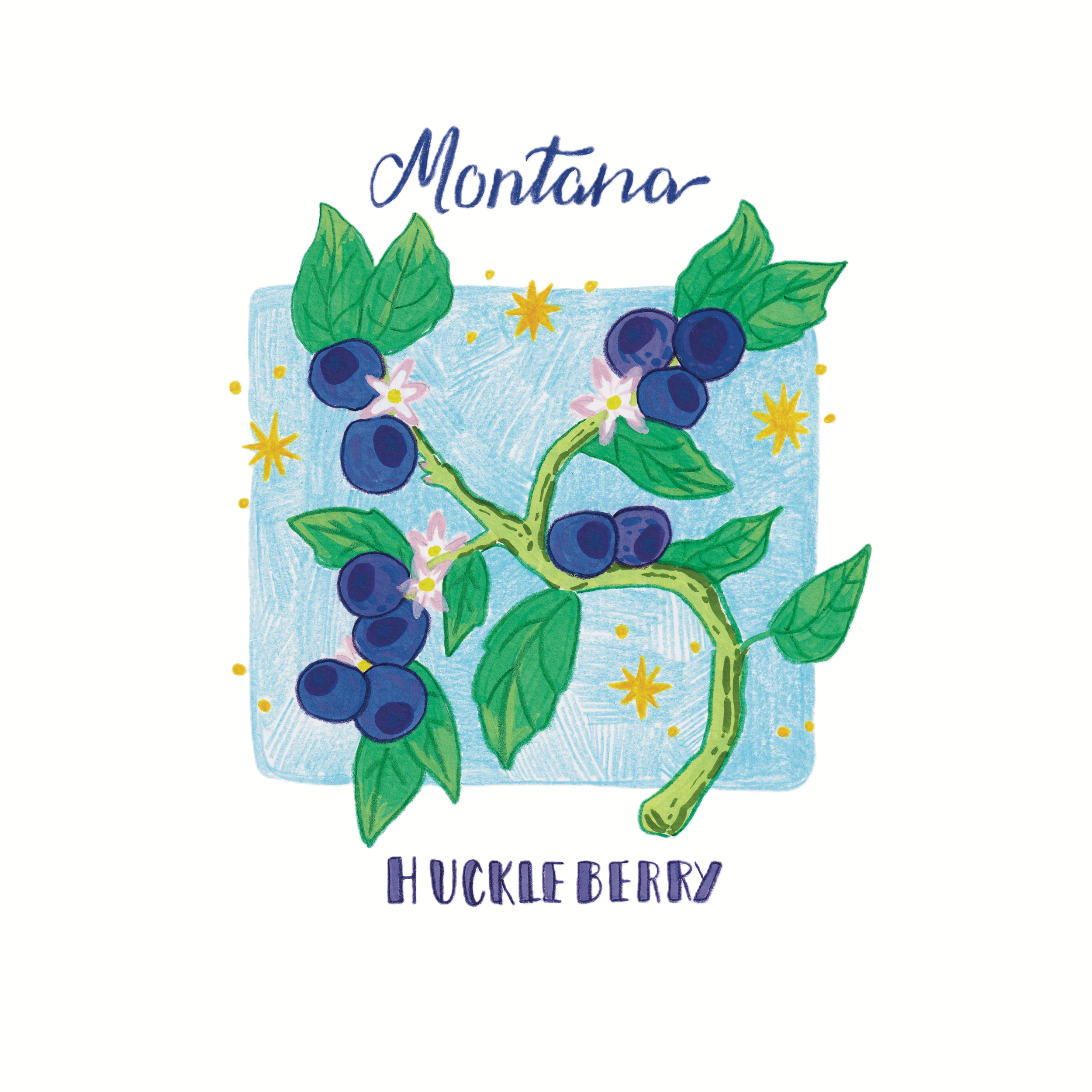 Huckleberries_print_SM.png