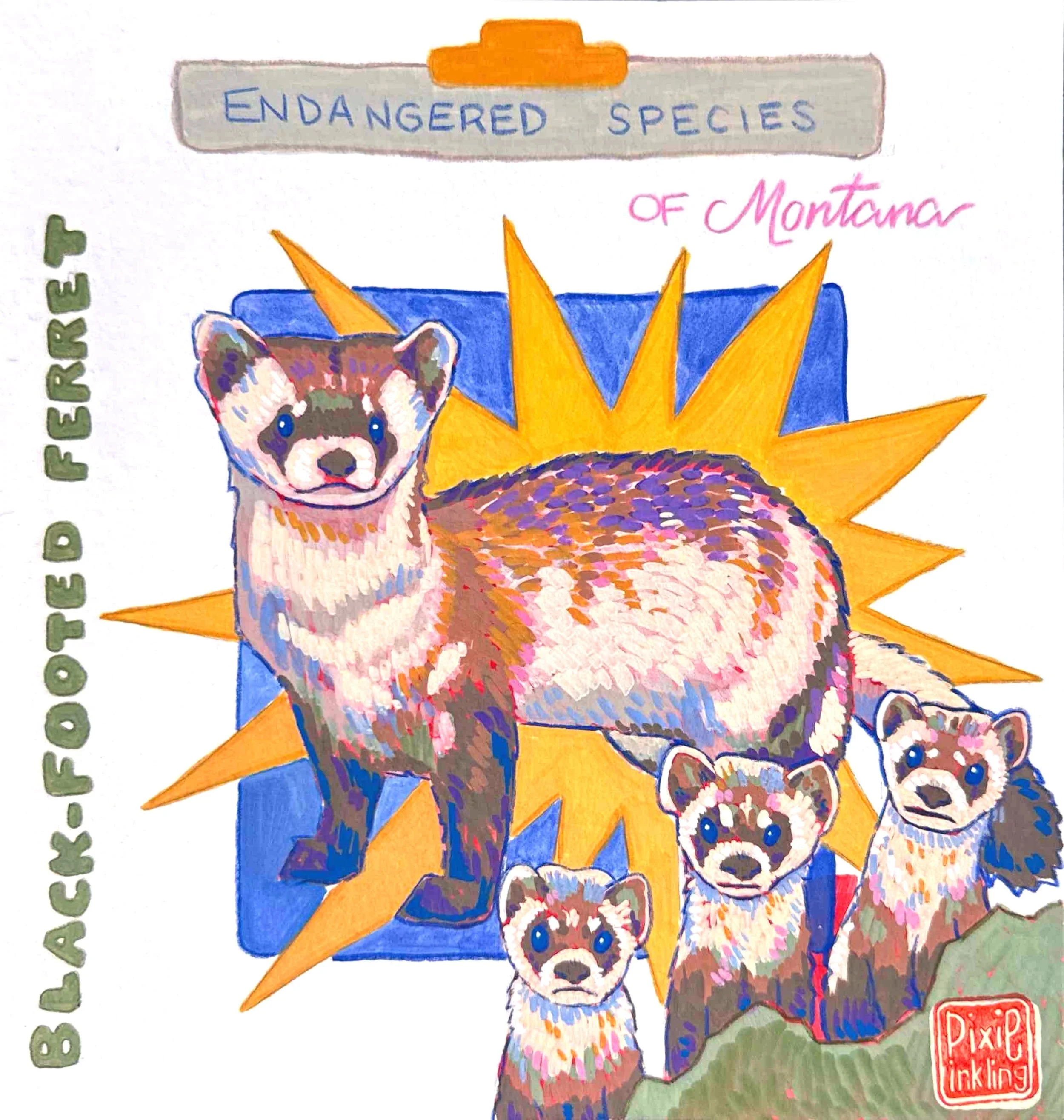 Endangered Black-Footed Ferret Art - Framed Original
