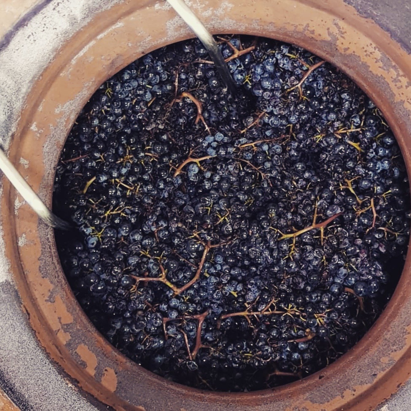 Ch&acirc;teau du C&egrave;dre isn&rsquo;t just another winery in Cahors&mdash;it&rsquo;s a testament to what happens when you let nature take the lead. Family-run and rooted in organic farming, this estate refuses to cut corners, working with the lan