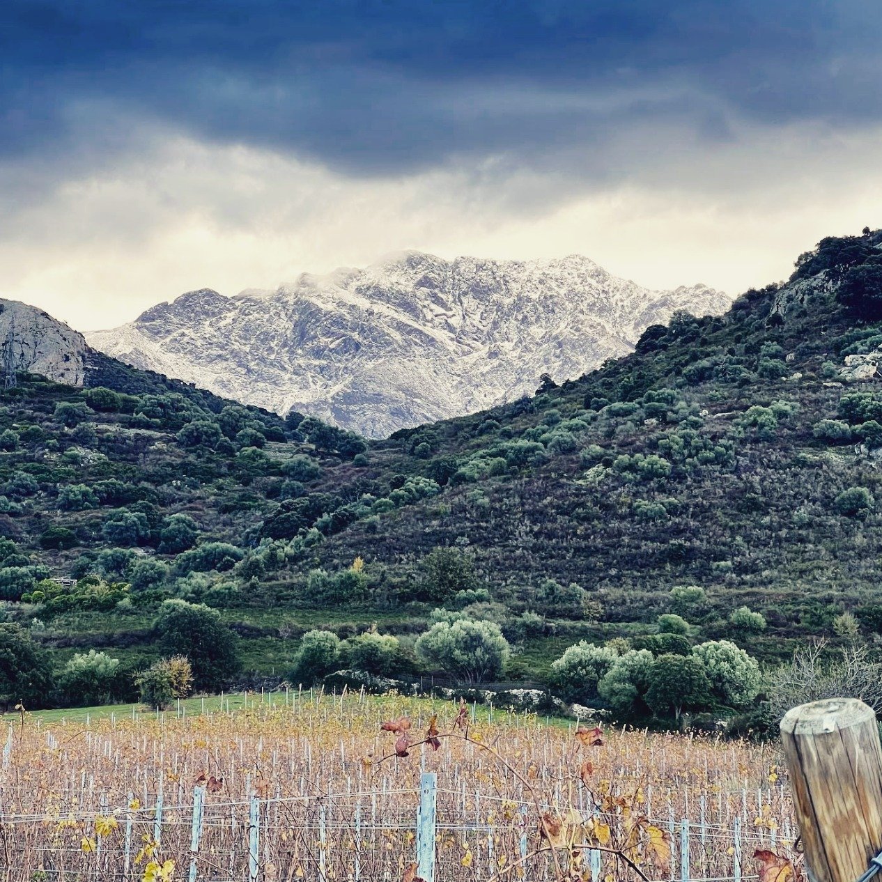 Tucked into the rugged hills of Corsica&rsquo;s Balagne region, Clos Culombu works the land with a respect that's earned, not claimed. Here, tradition runs deep, but there&rsquo;s a constant push forward &mdash; a quiet innovation rooted in the rhyth
