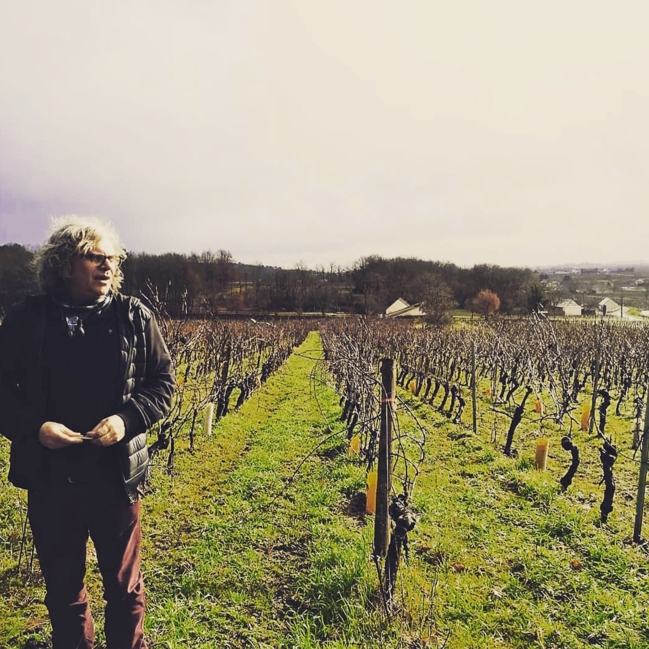 In the heart of the Loire Valley, Clos des Quarterons is a family-owned domaine that&rsquo;s been quietly doing things the right way for generations. Rooted in the Saint-Nicolas-de-Bourgueil appellation, the Amirault family tends their land with care