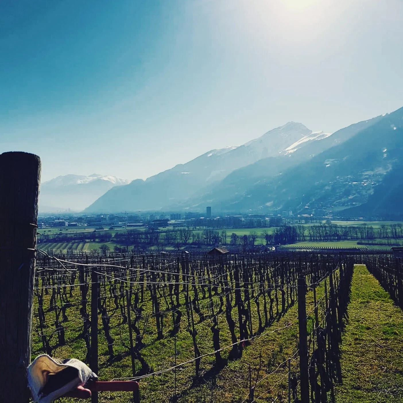 Liesch Louis is a family-owned winery located in the stunning region of Grisons (Graub&uuml;nden) in eastern Switzerland. This region, known for its alpine landscapes, unique microclimates, and diverse soils, provides the perfect backdrop for craftin