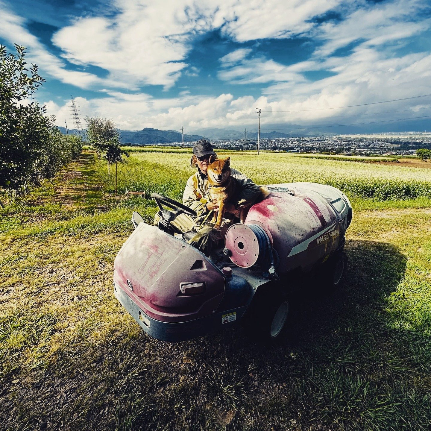Les Vins Debrouillard is a natural wine project rooted in Japan, shaped by place, patience, and a refusal to take shortcuts. The vines are farmed organically, guided by observation rather than intervention, with the land setting the pace&mdash;not ch