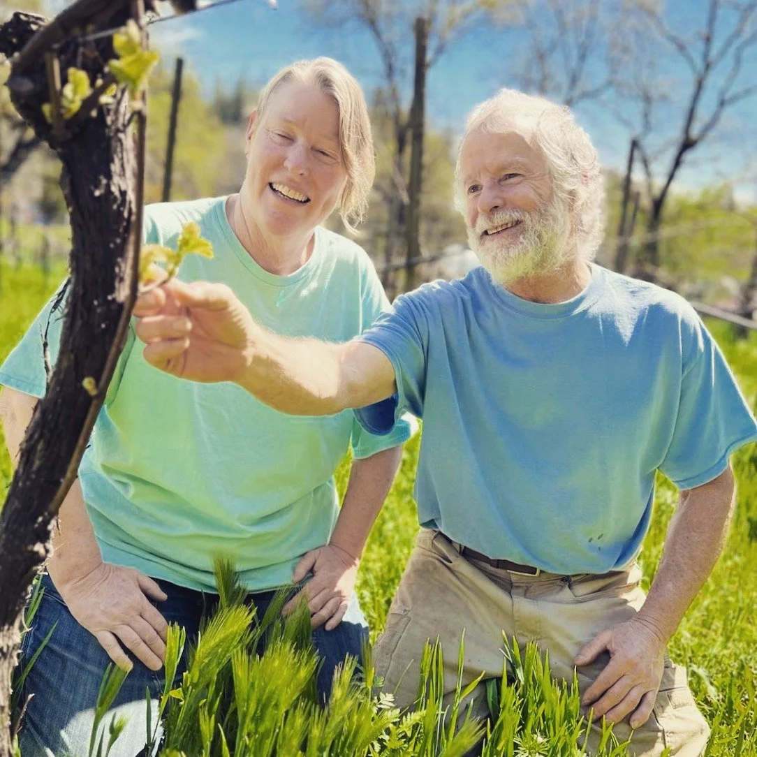 Clos Saron is a pioneering Californian estate rooted in biodynamic farming and uncompromising natural principles. Since its inception, the domaine has championed farming as stewardship and wine as a living expression.

#organic #biodynamic #natural #