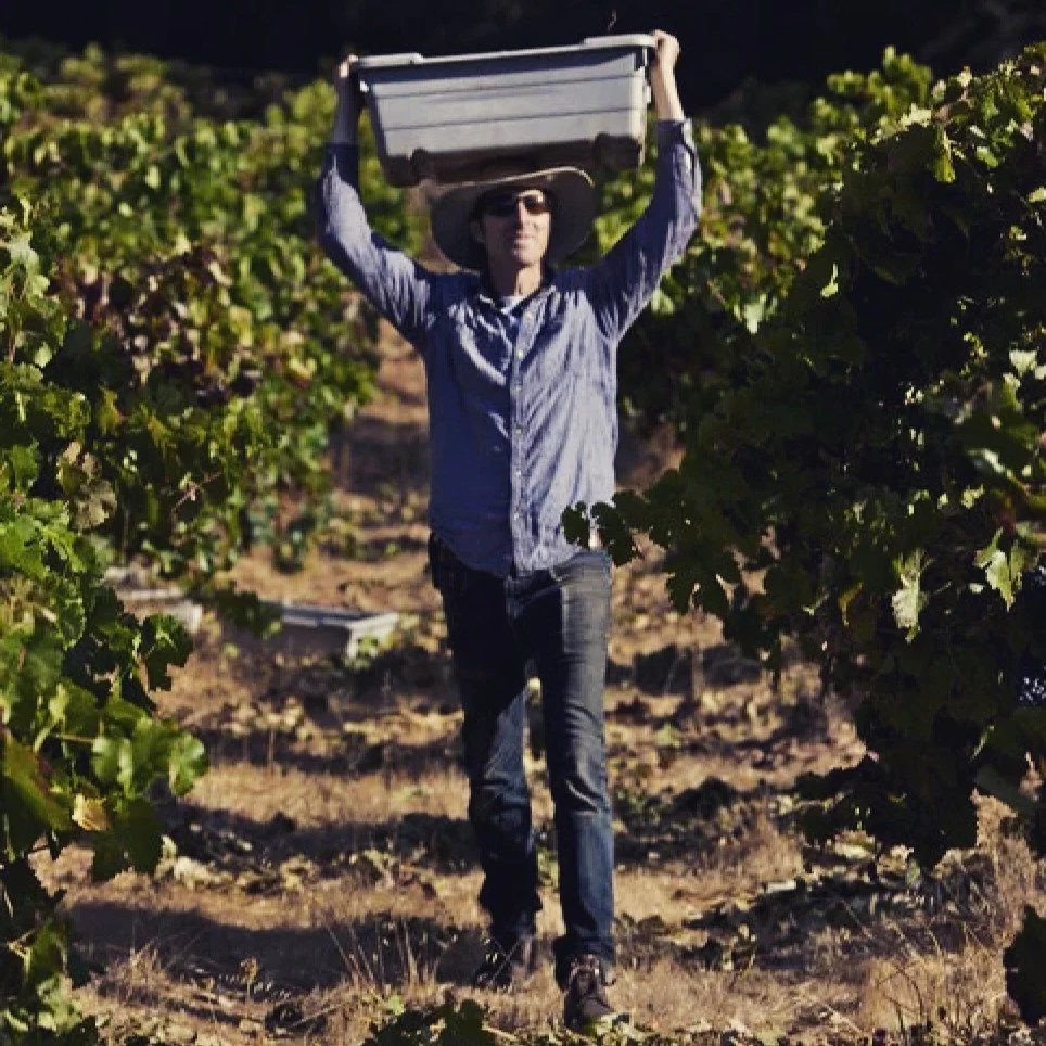 Old World Winery draws inspiration from pre-industrial European winemaking, emphasizing heritage methods and natural balance. The project looks backward to move forward, prioritizing tradition and restraint.

#biodyna #organic #biodynamic #natural #w