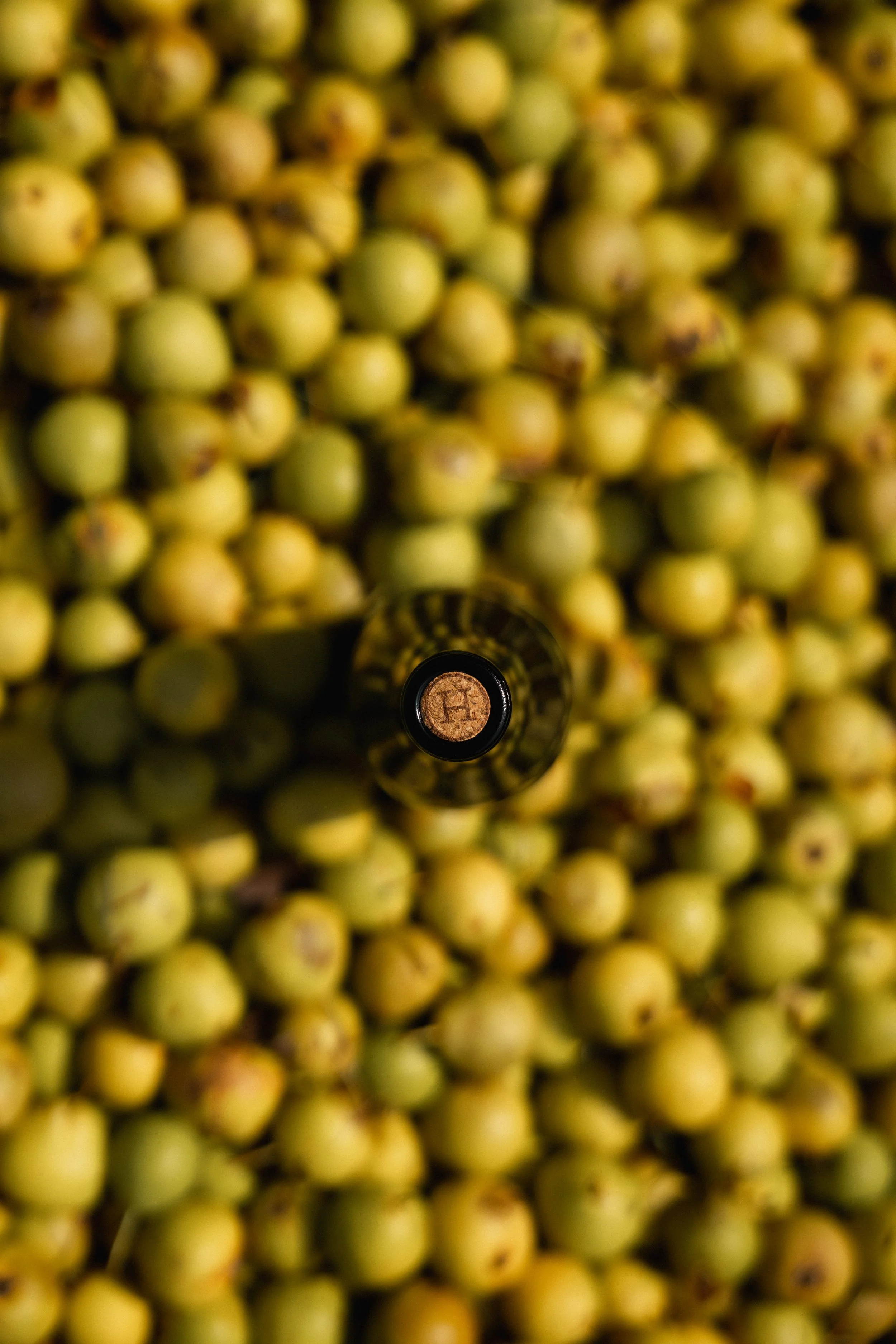 AO2A6286.jpg