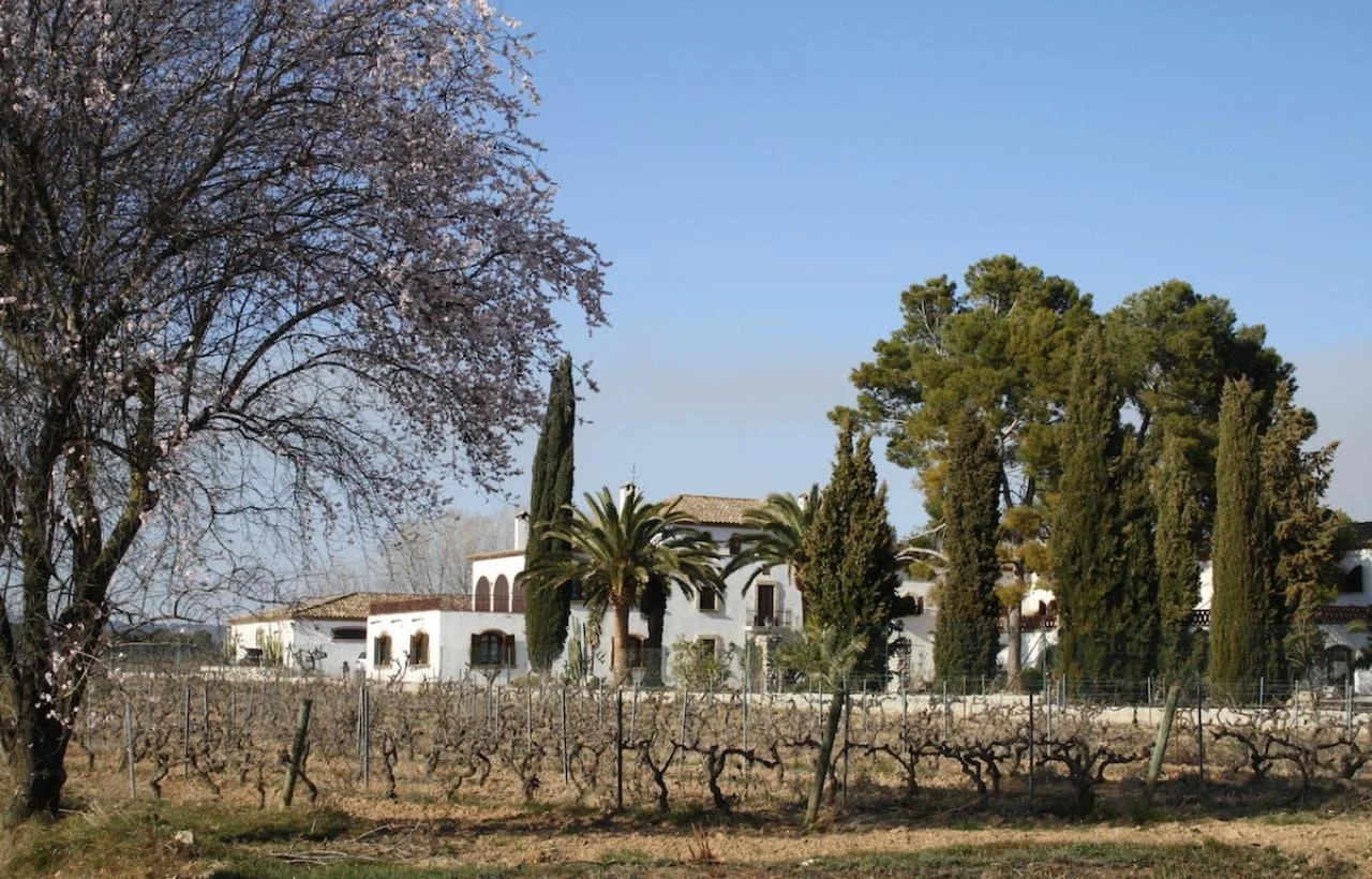canon2012-3-2_105.jpg