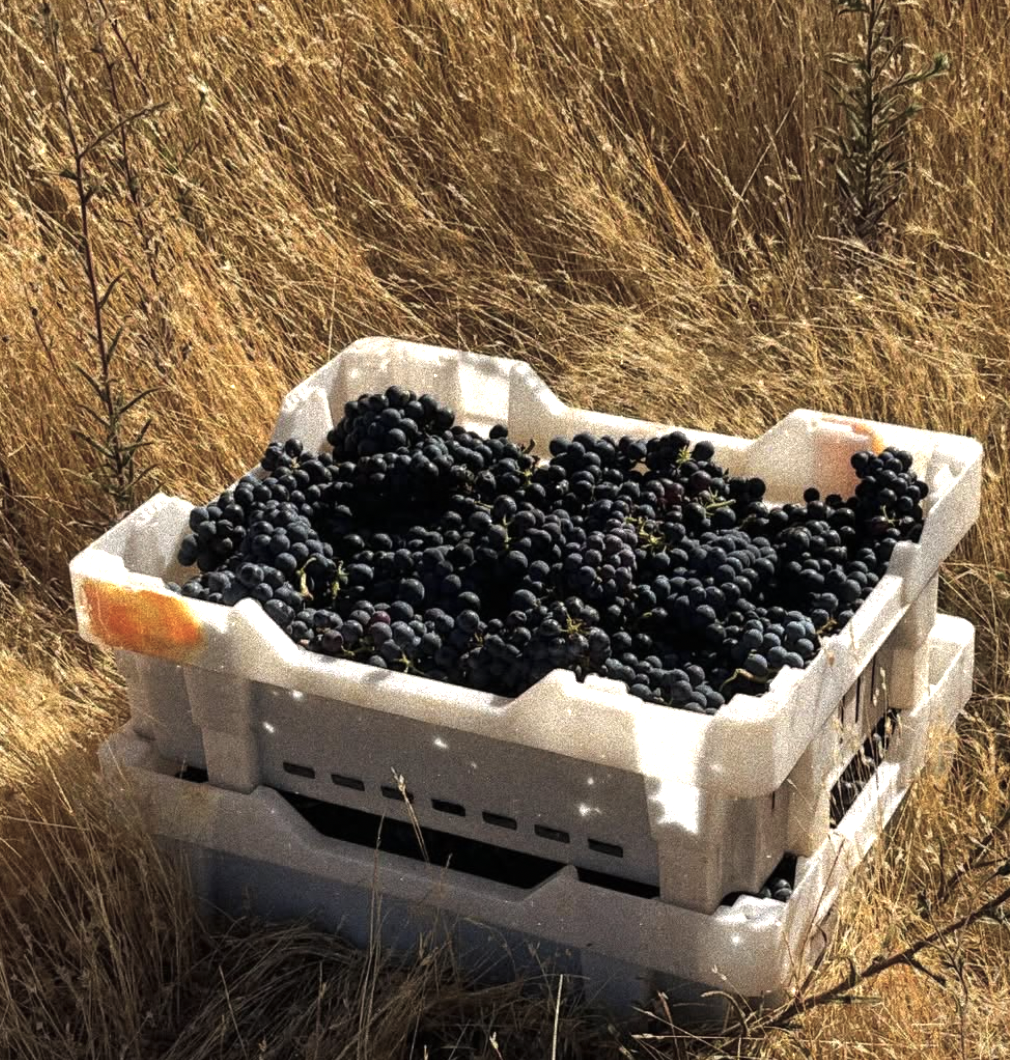 Screenshot 2026-02-07 at 3.34.30 PM.png