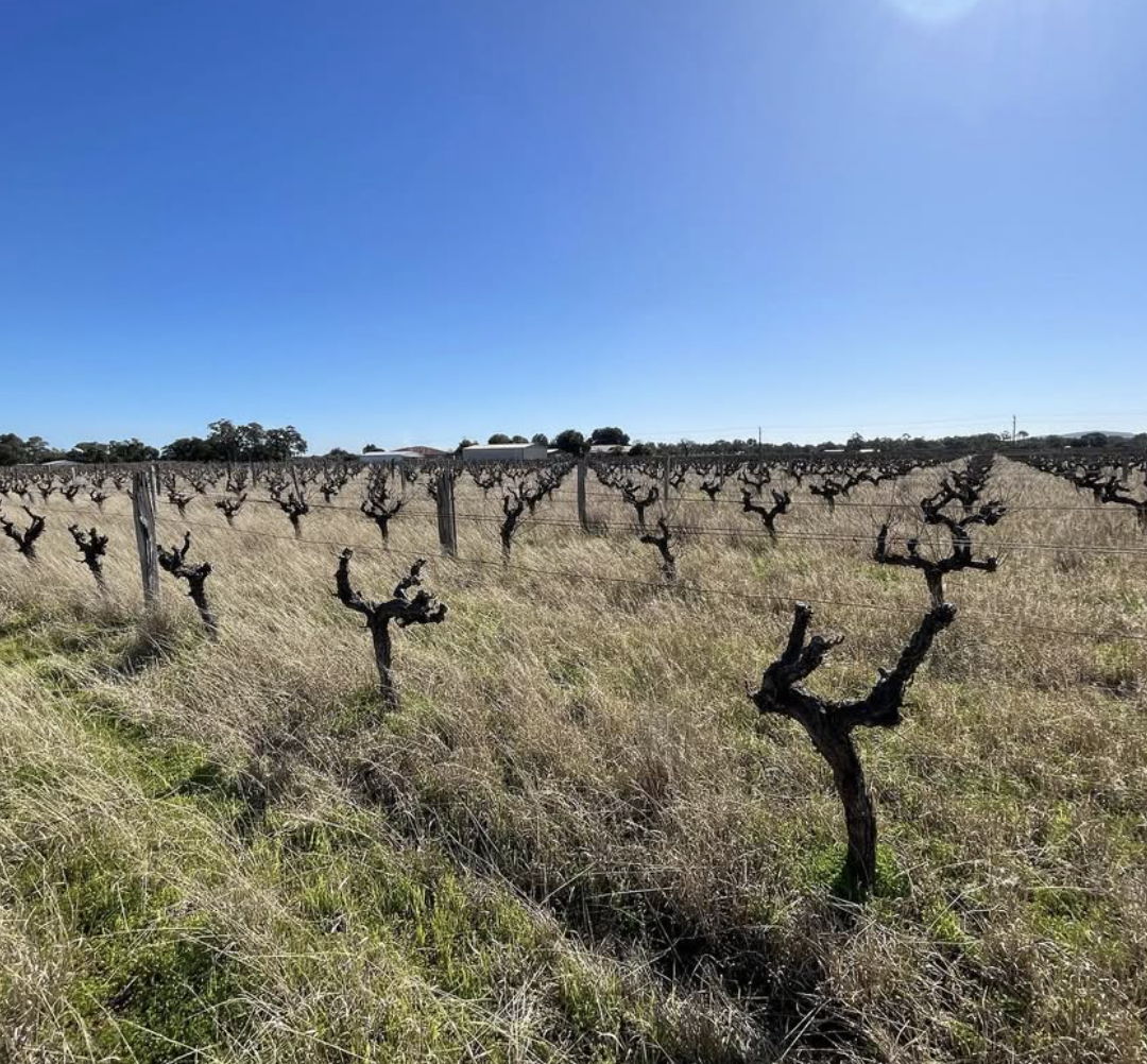 Screenshot 2026-02-07 at 9.54.51 AM.png