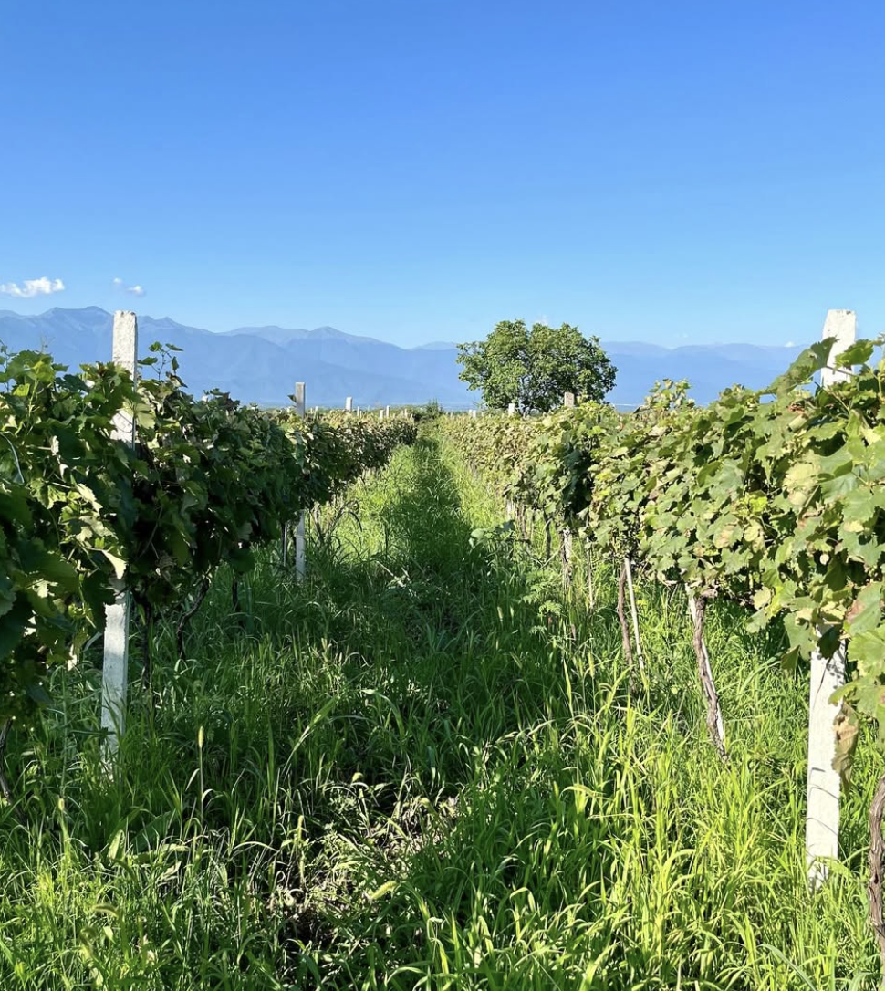 Screenshot 2026-02-07 at 2.22.16 PM.png