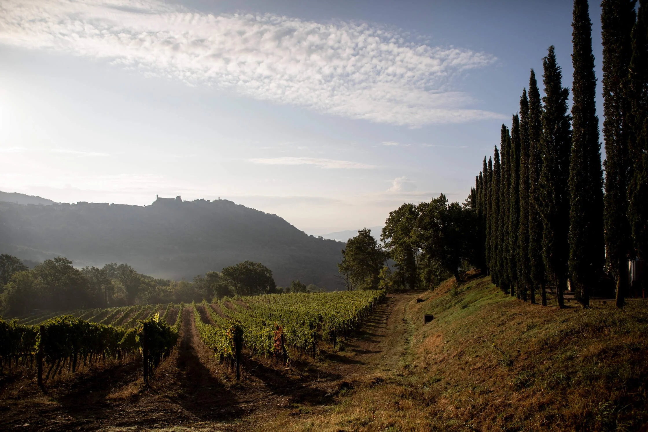 csm_la-rocca-vigna-empatia_824a1fe9e2.jpg
