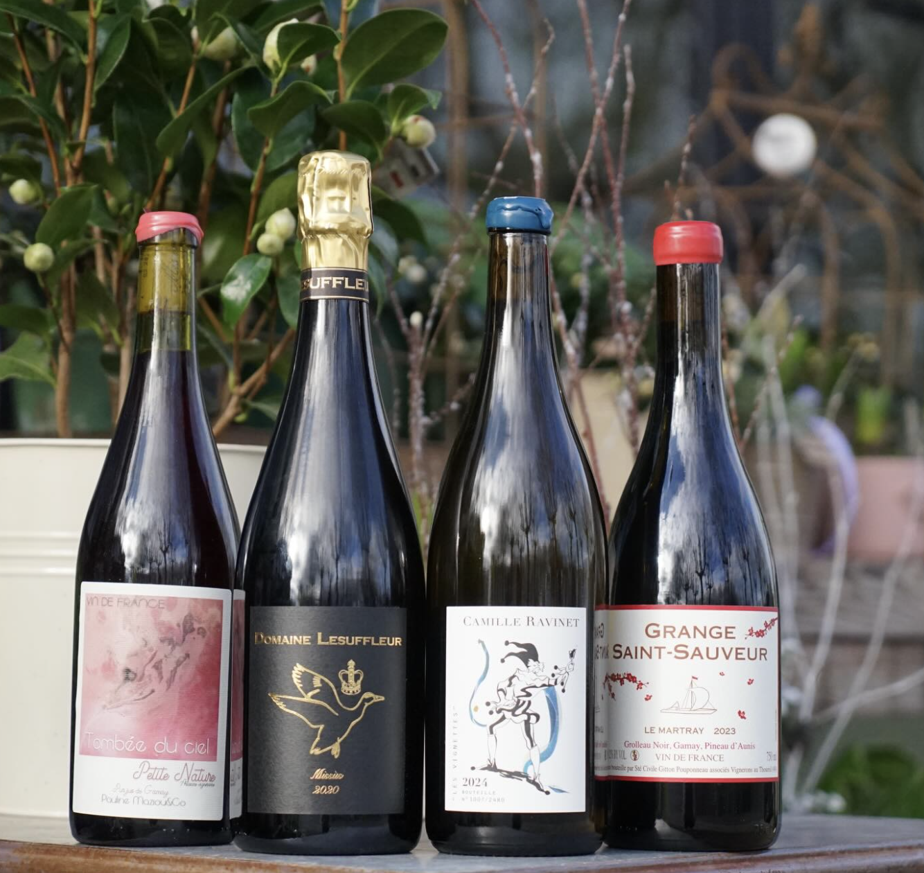 Screenshot 2026-02-08 at 9.38.29 AM.png