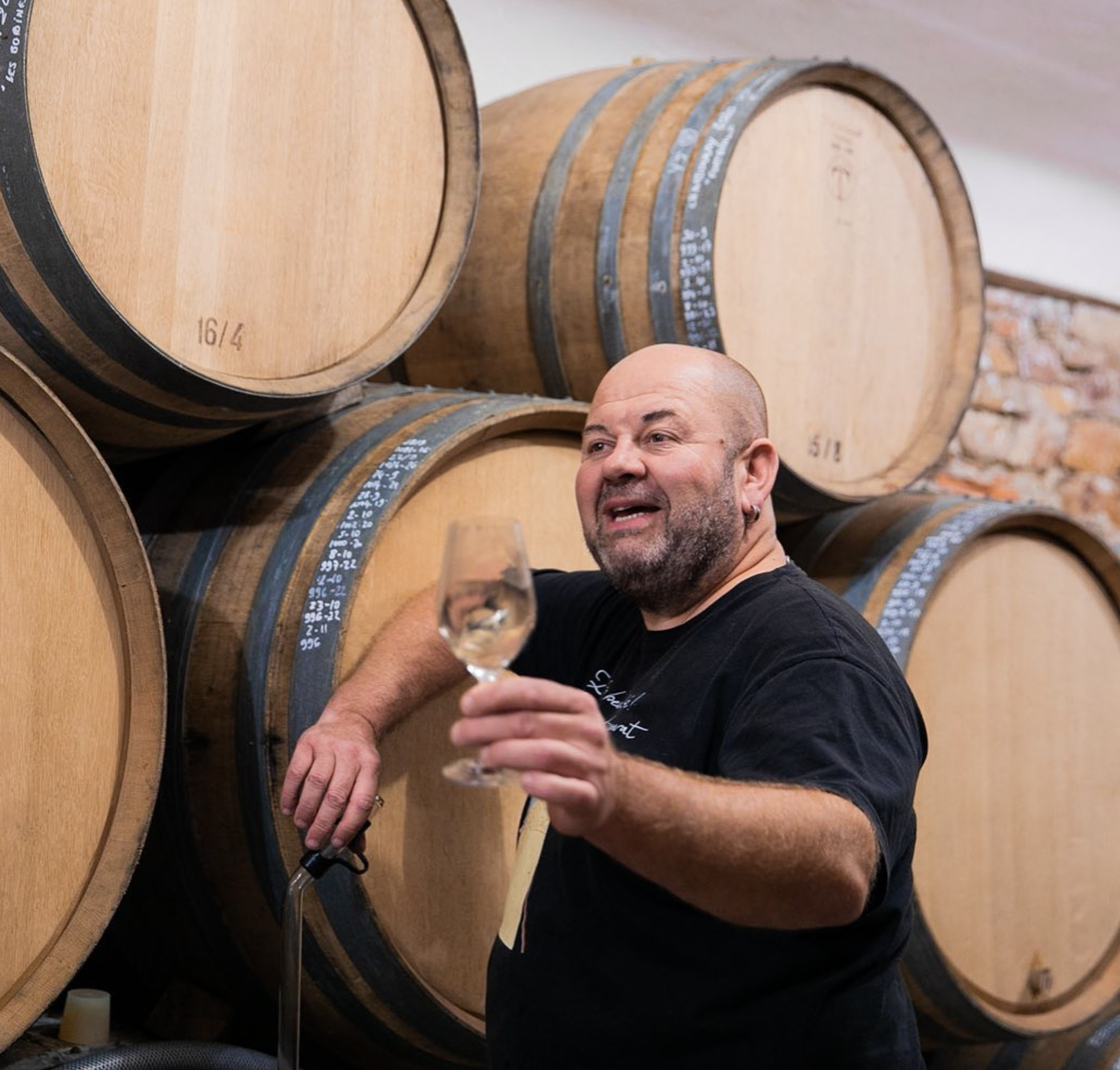 Domaine Ganevat