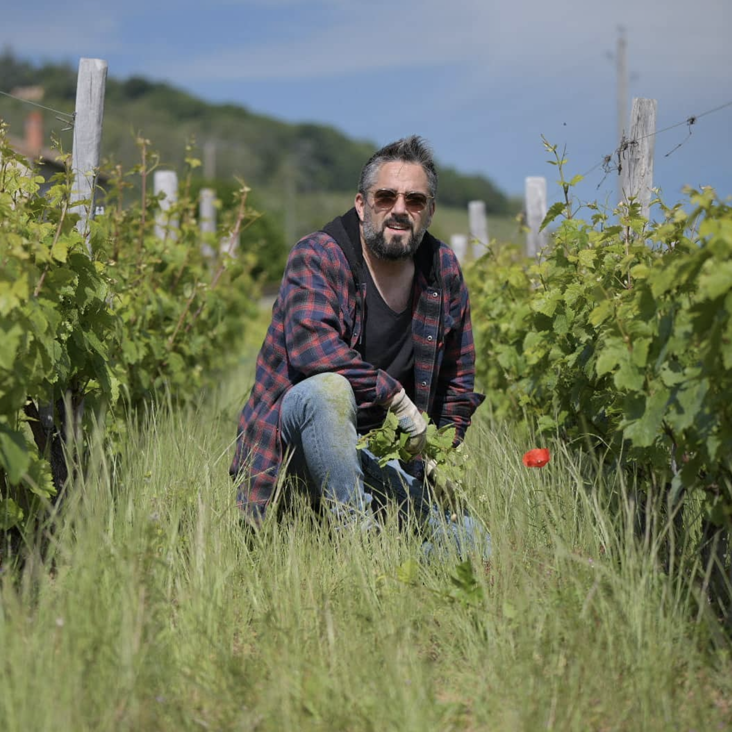 Domaine de la Cure