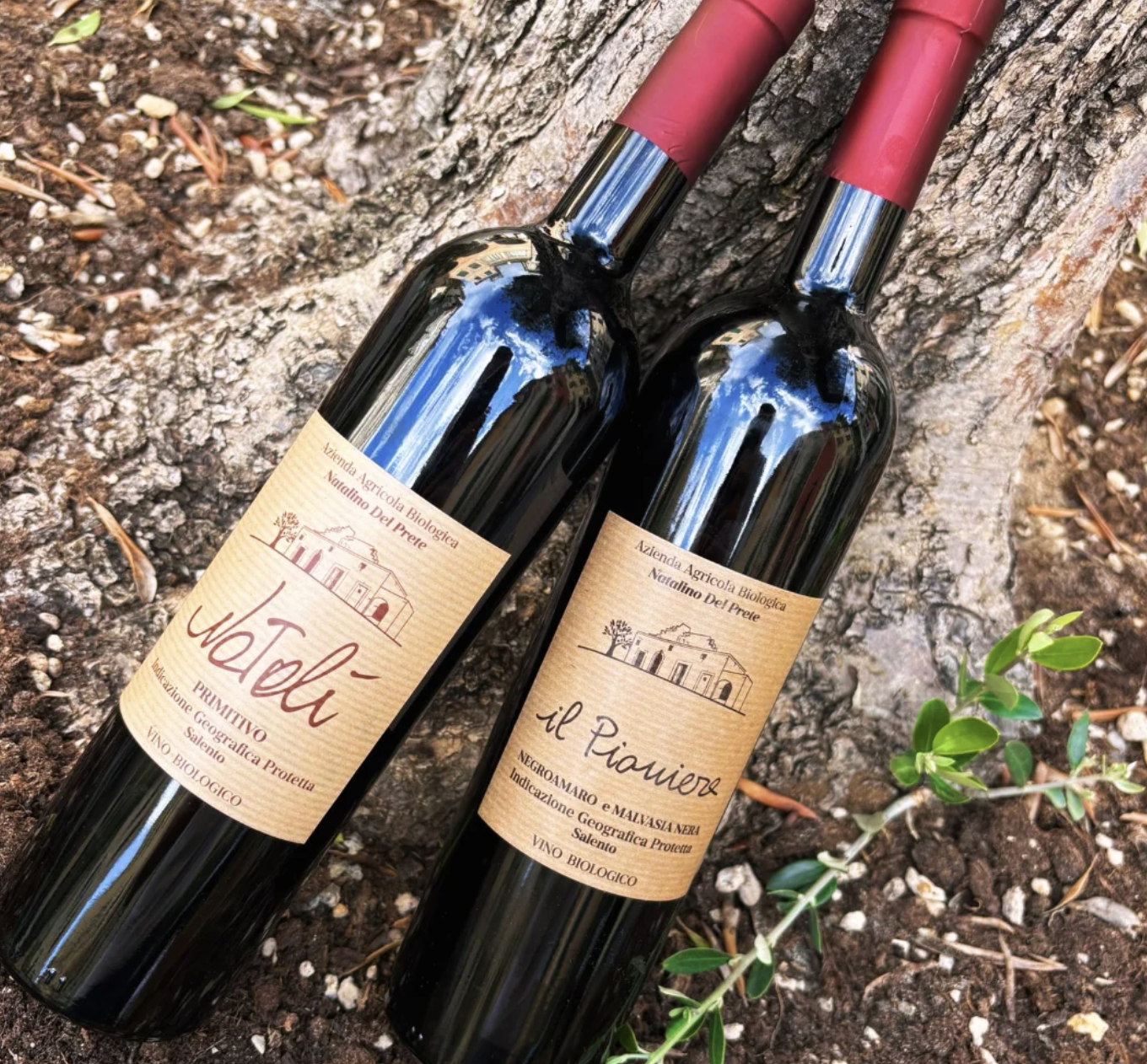 Screenshot 2025-10-26 at 3.17.07 PM.png