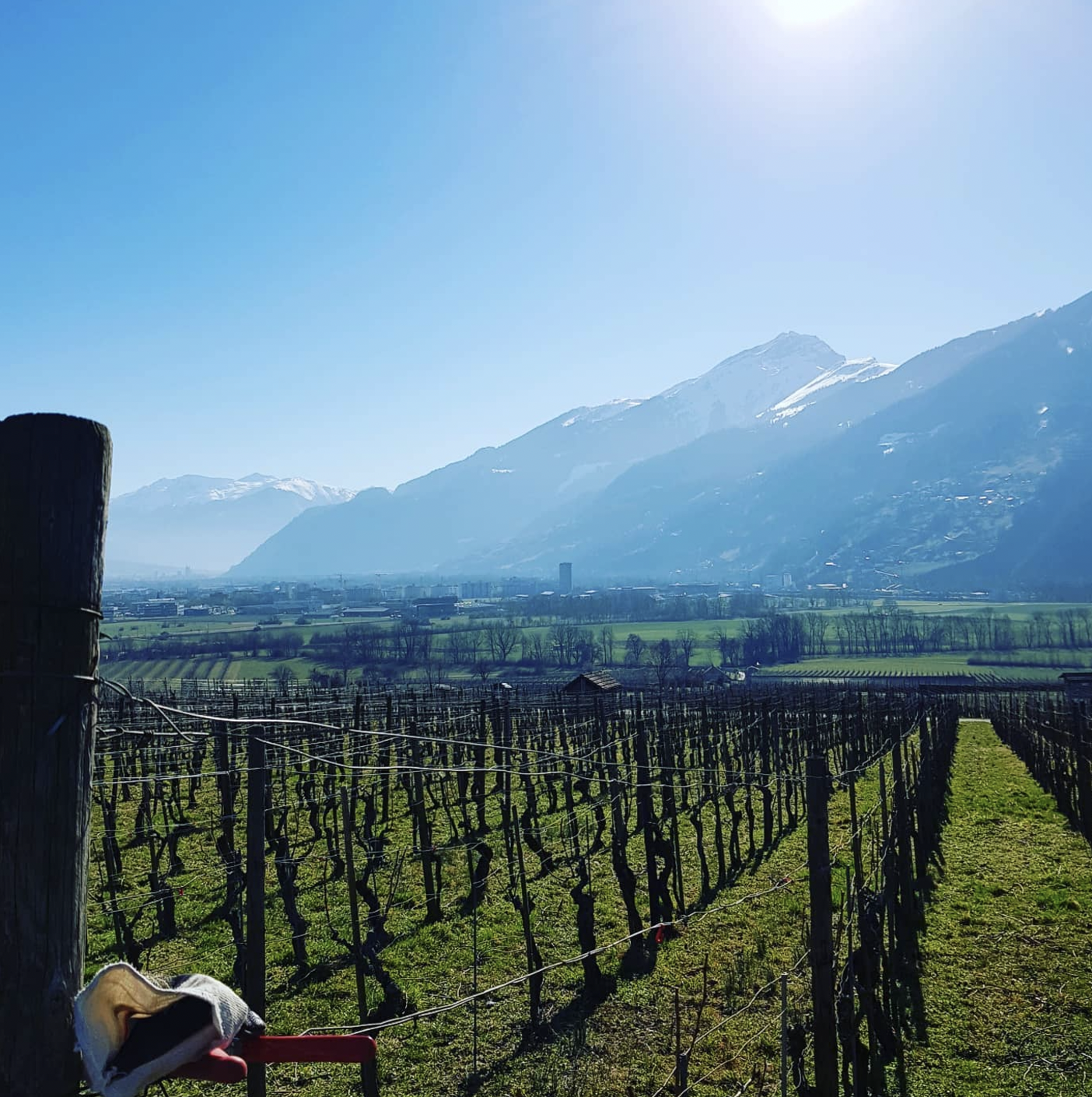 Screenshot 2025-06-02 at 2.53.37 PM.png