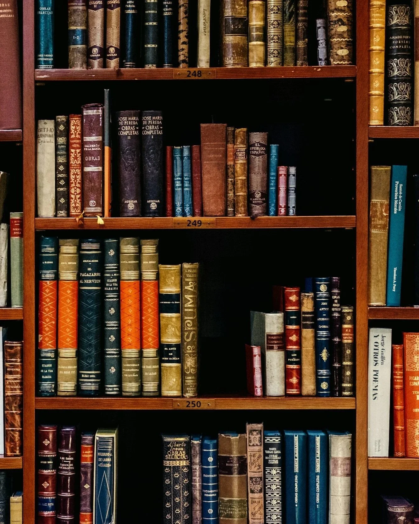 Bookshelves filled with various hardcover books in a library.