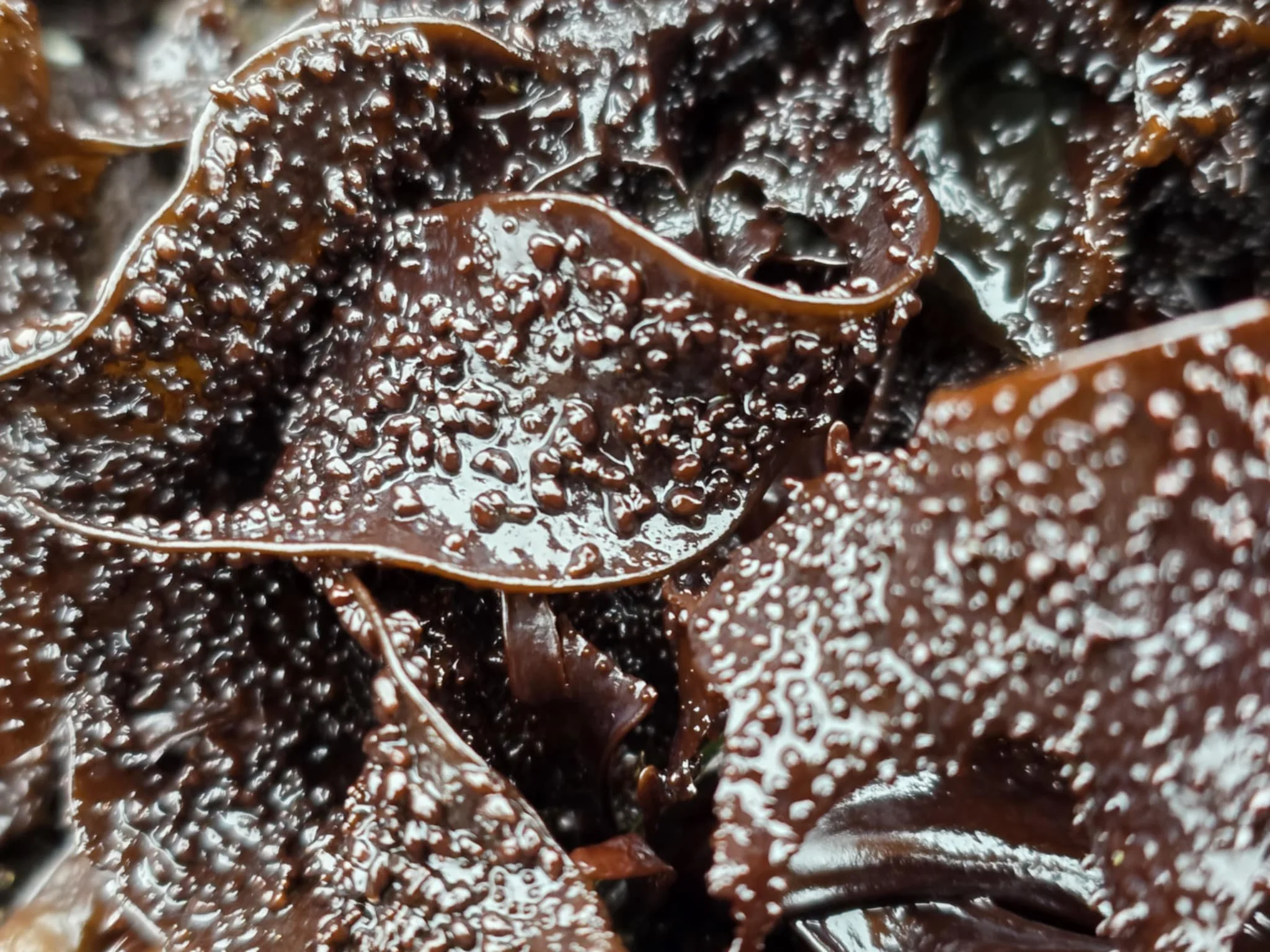 att.b_3dRx_bd25Ve4Drpl1xHEaSSsDMmdDWv9rwIevIU28 2.jpg