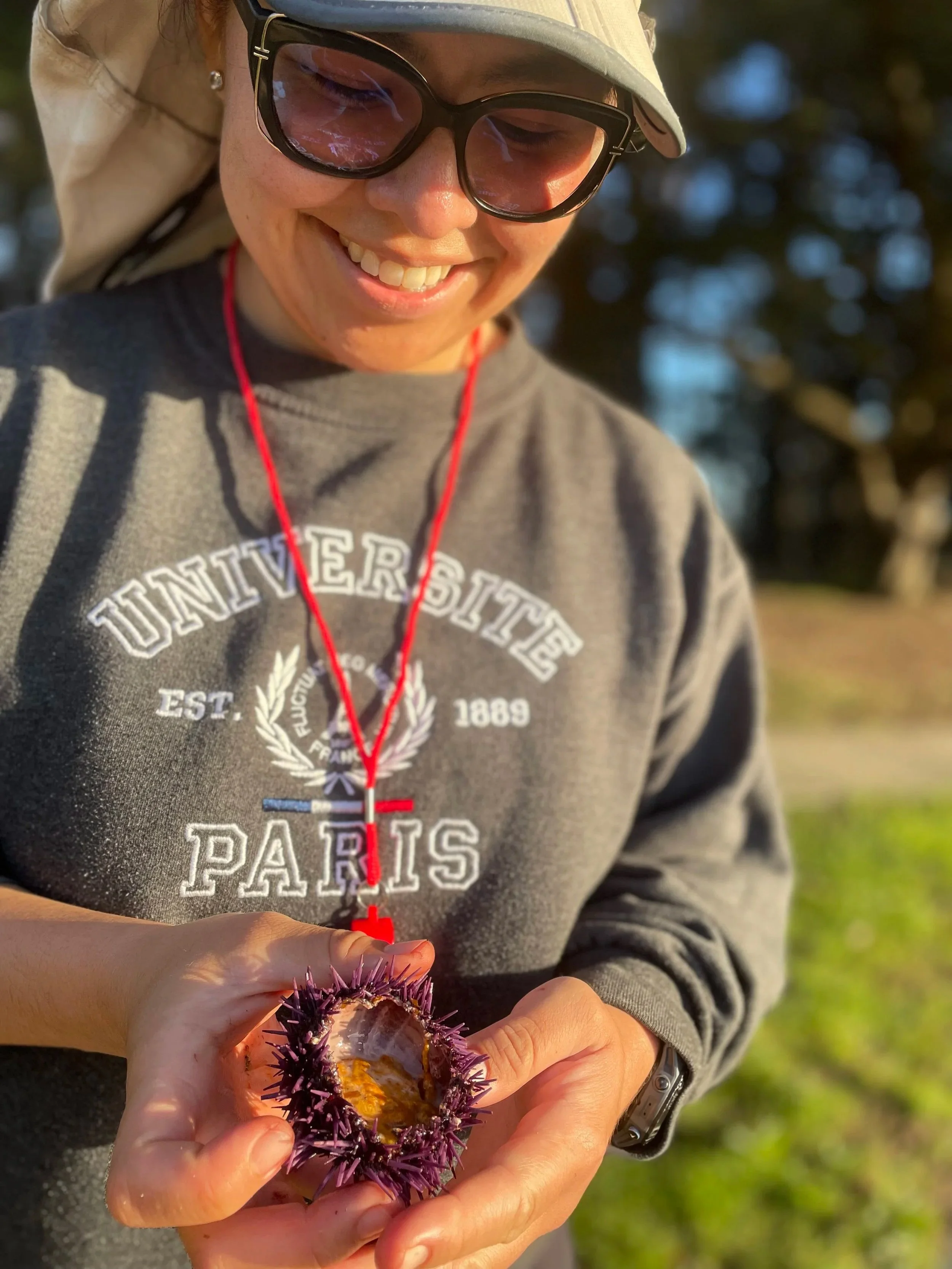 urchin.jpg