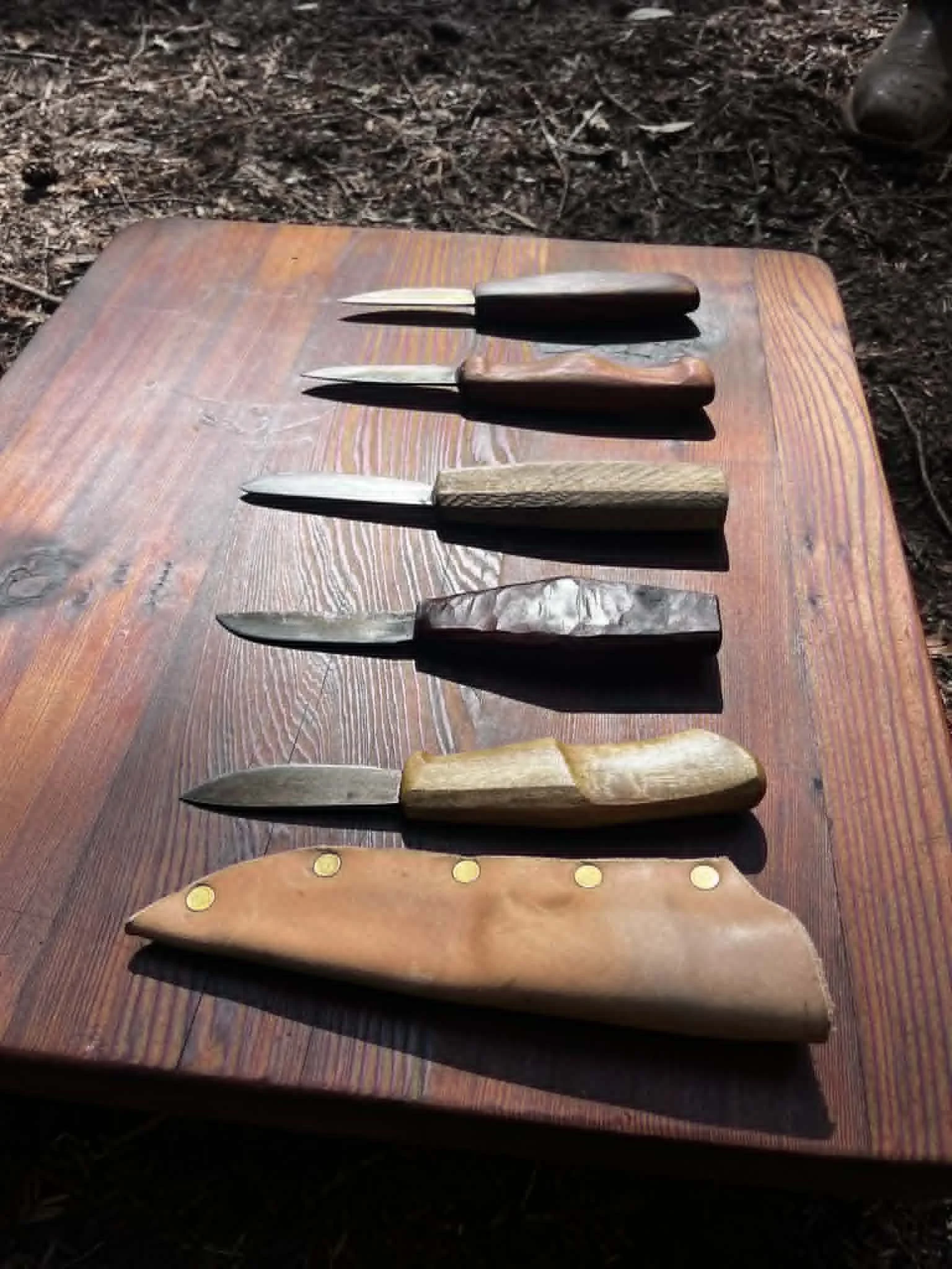 A row of five kitchen knives with different handles on a wooden surface outdoors.