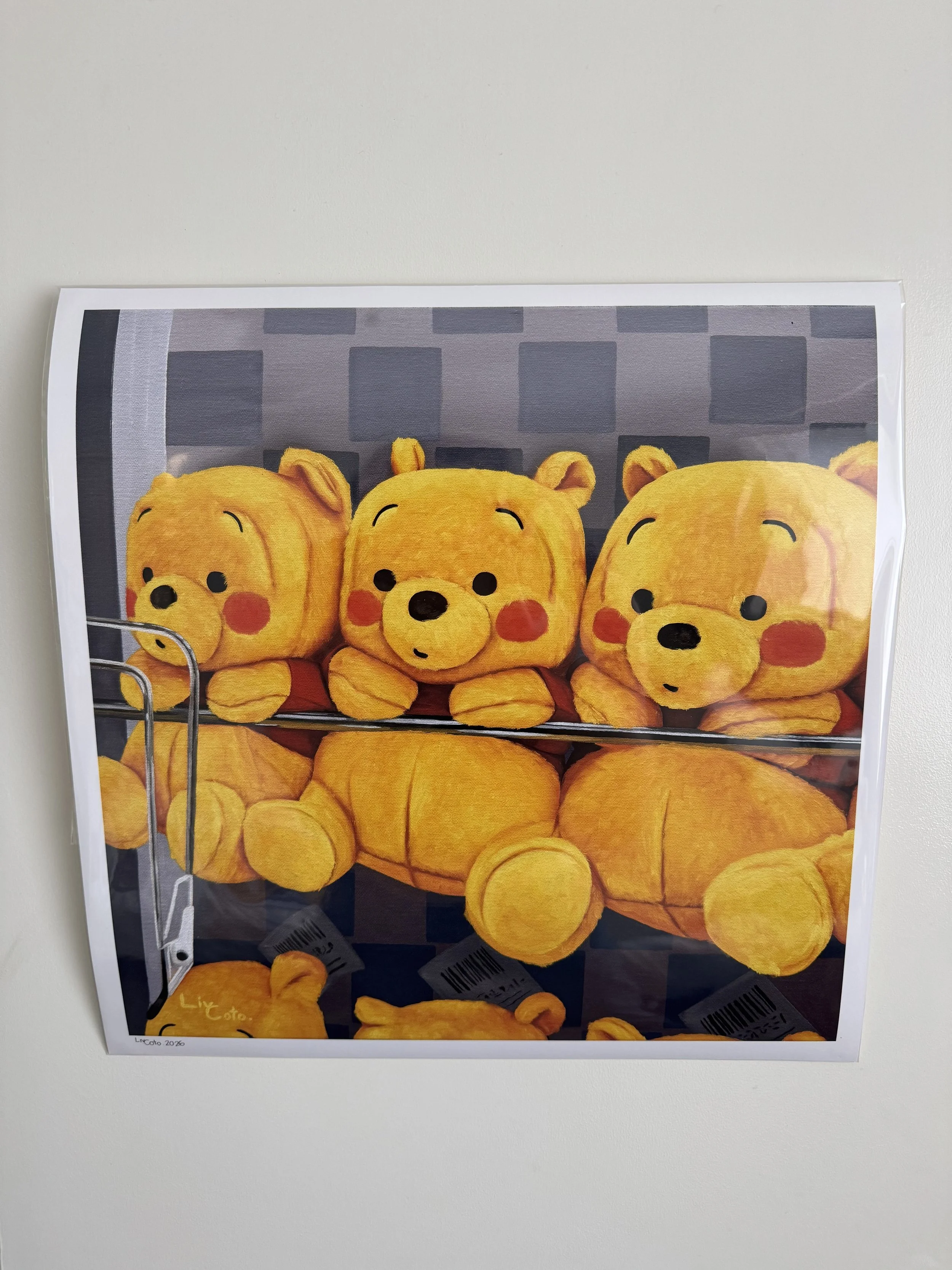 Hang in There Fine Art Print