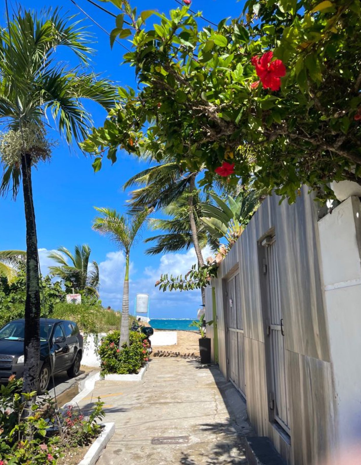 PUERTO RICO TRIP — DivasOTW