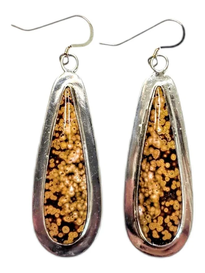 Harold Joe (Navajo) — Fossilized Dinosaur Bone Sterling Silver Earrings