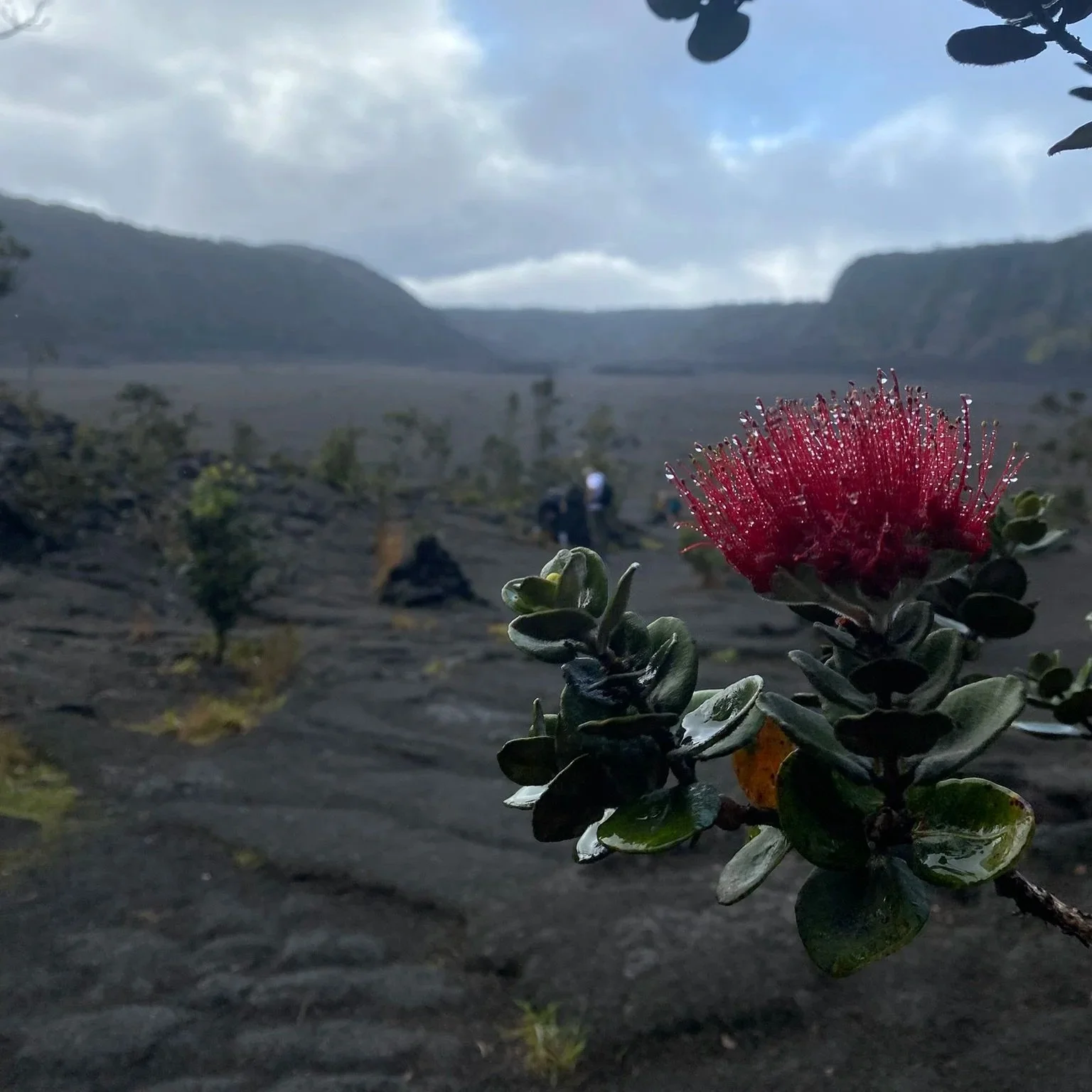 Hilo, Day 1 &amp; 2: Pizza, Ube &amp; A Funeral