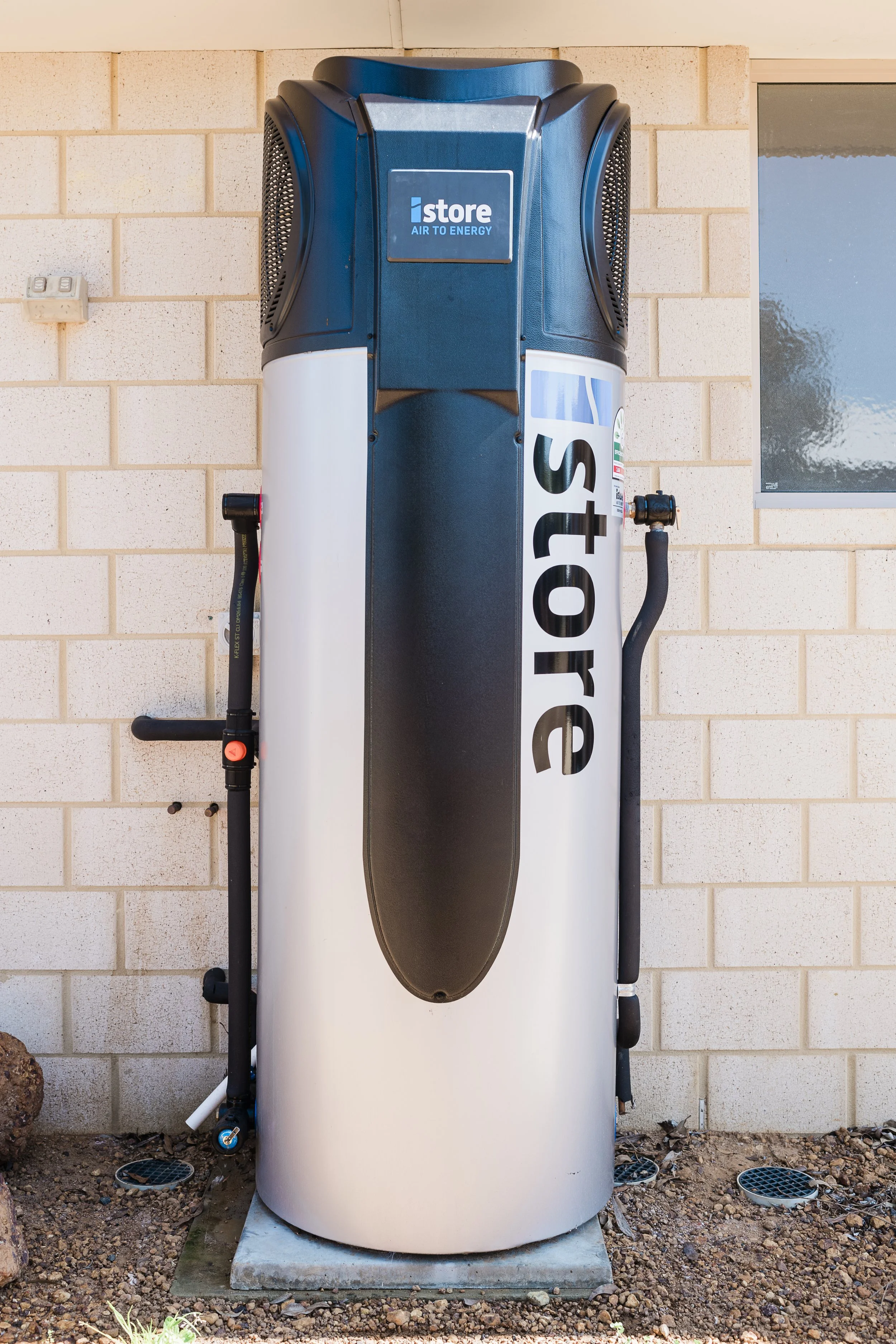 2024.9.16 Steve Best_-6.jpg