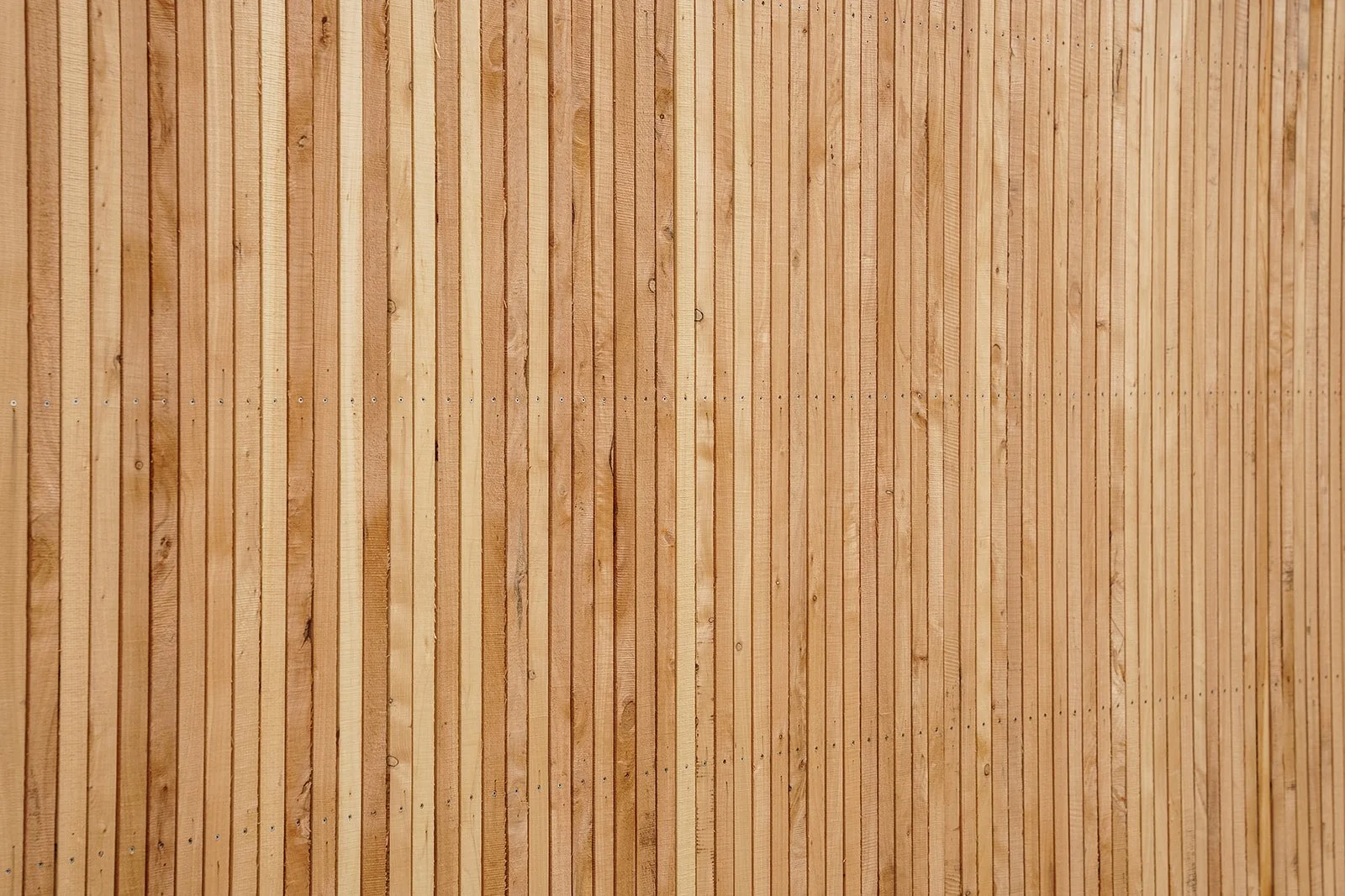 AriseCreativeBuilding 03-12-2024 - 131.jpg