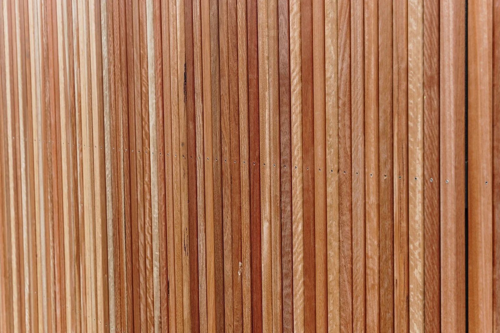 AriseCreativeBuilding 03-12-2024 - 123.jpg