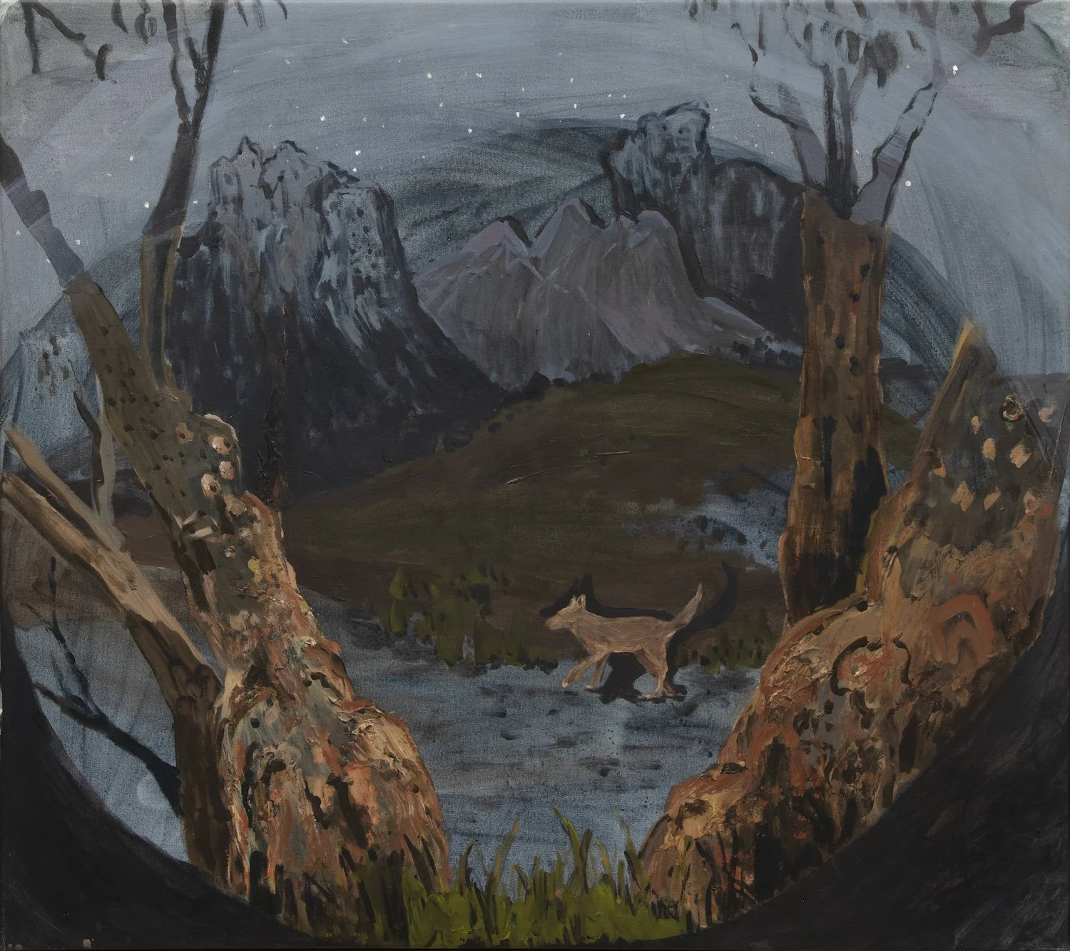 Dingo's Breakfast, acrylic on canvas, 105 x 108cm, 2020