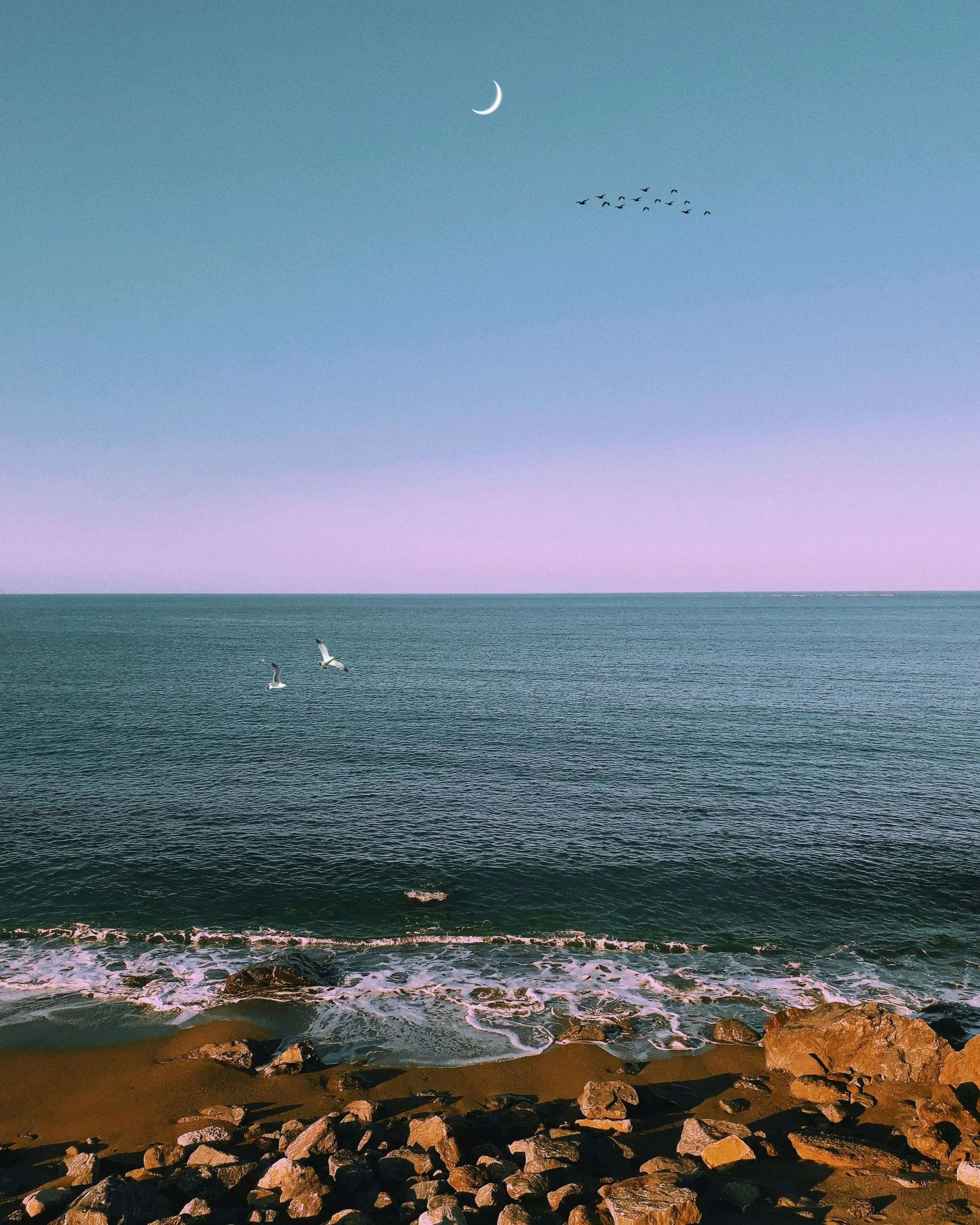 New Moon in Capricorn A Six-Month Journey of Intention, Structure and Purpose