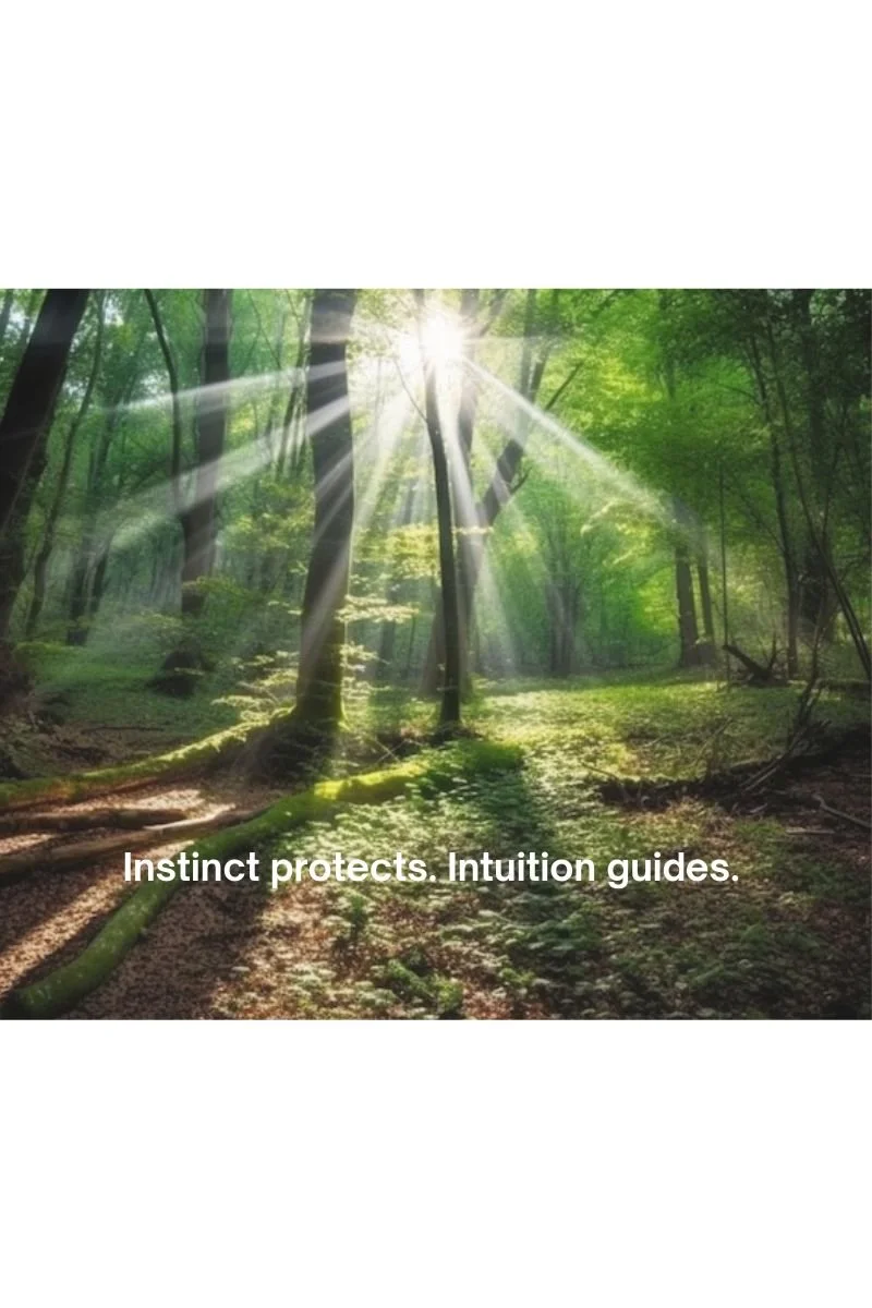 When Instinct Disguises Itself as Intuition: How to Tell the Difference