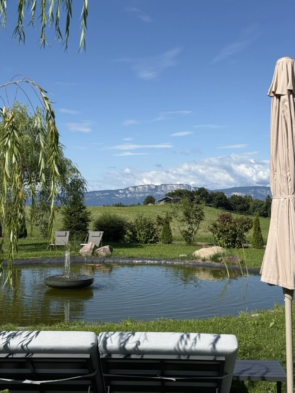 IMG_2649 - Grande.jpeg