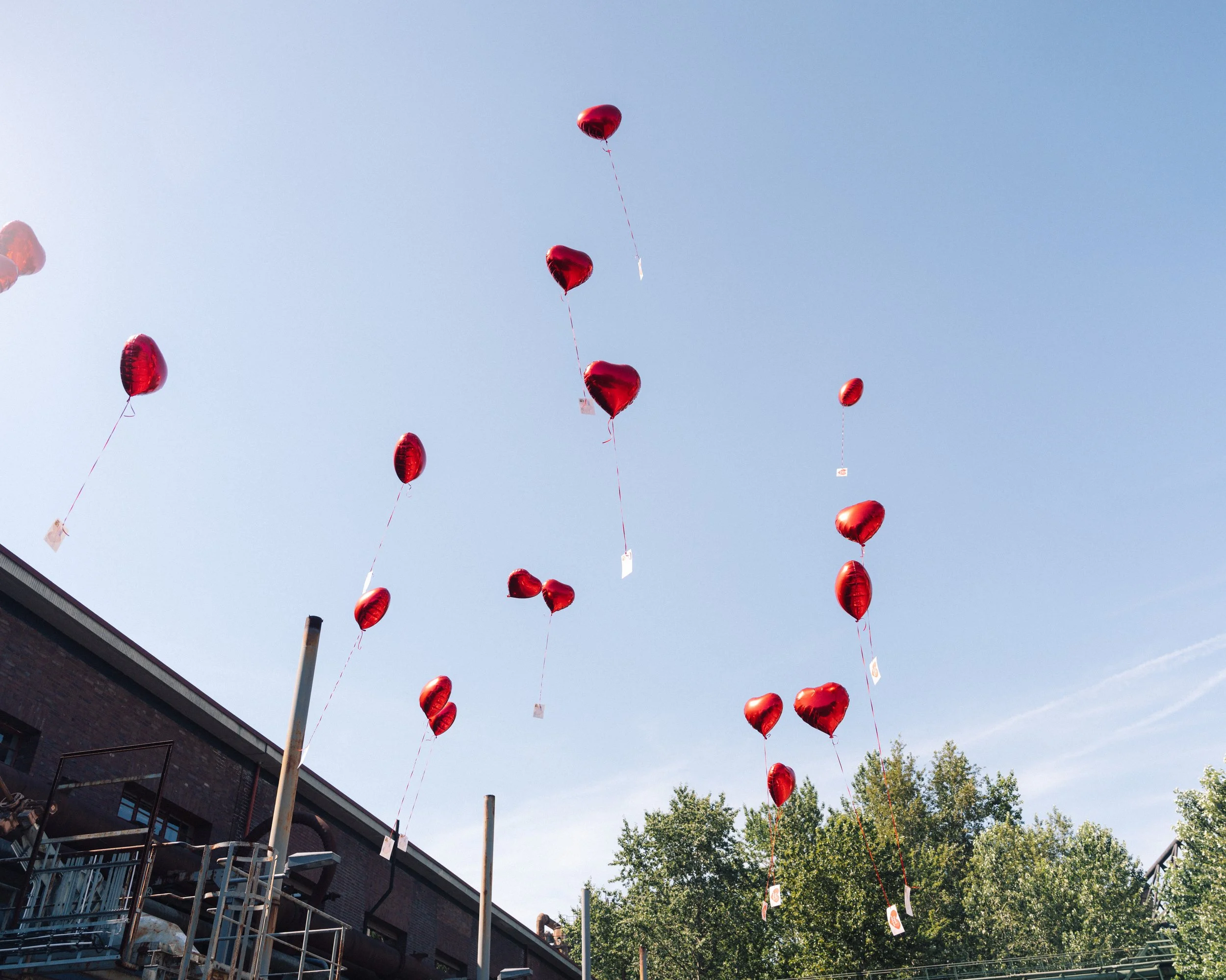 cwswedding_alinatimo-cws-260626-201 - A7R05476.jpg