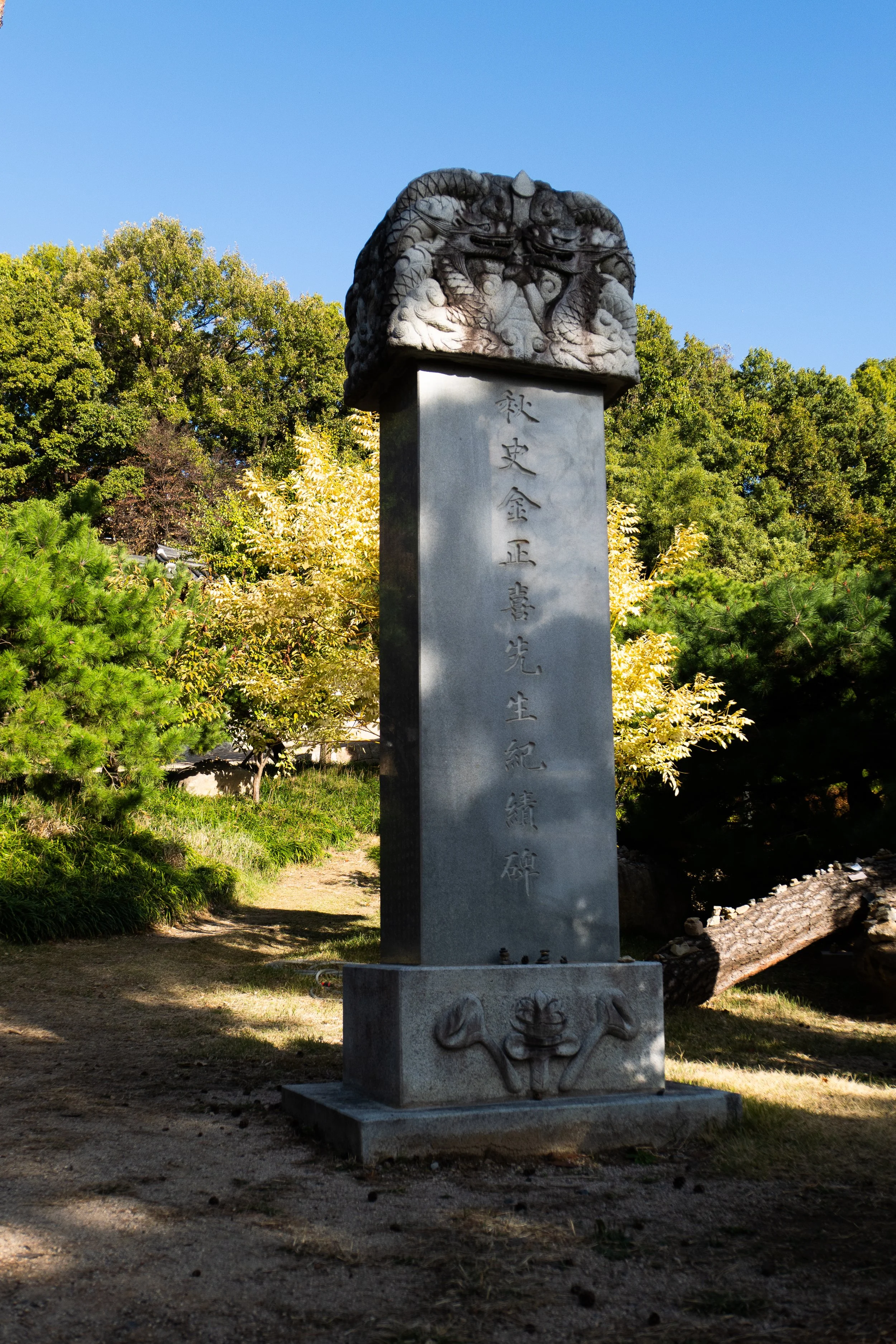 P1000157.jpg