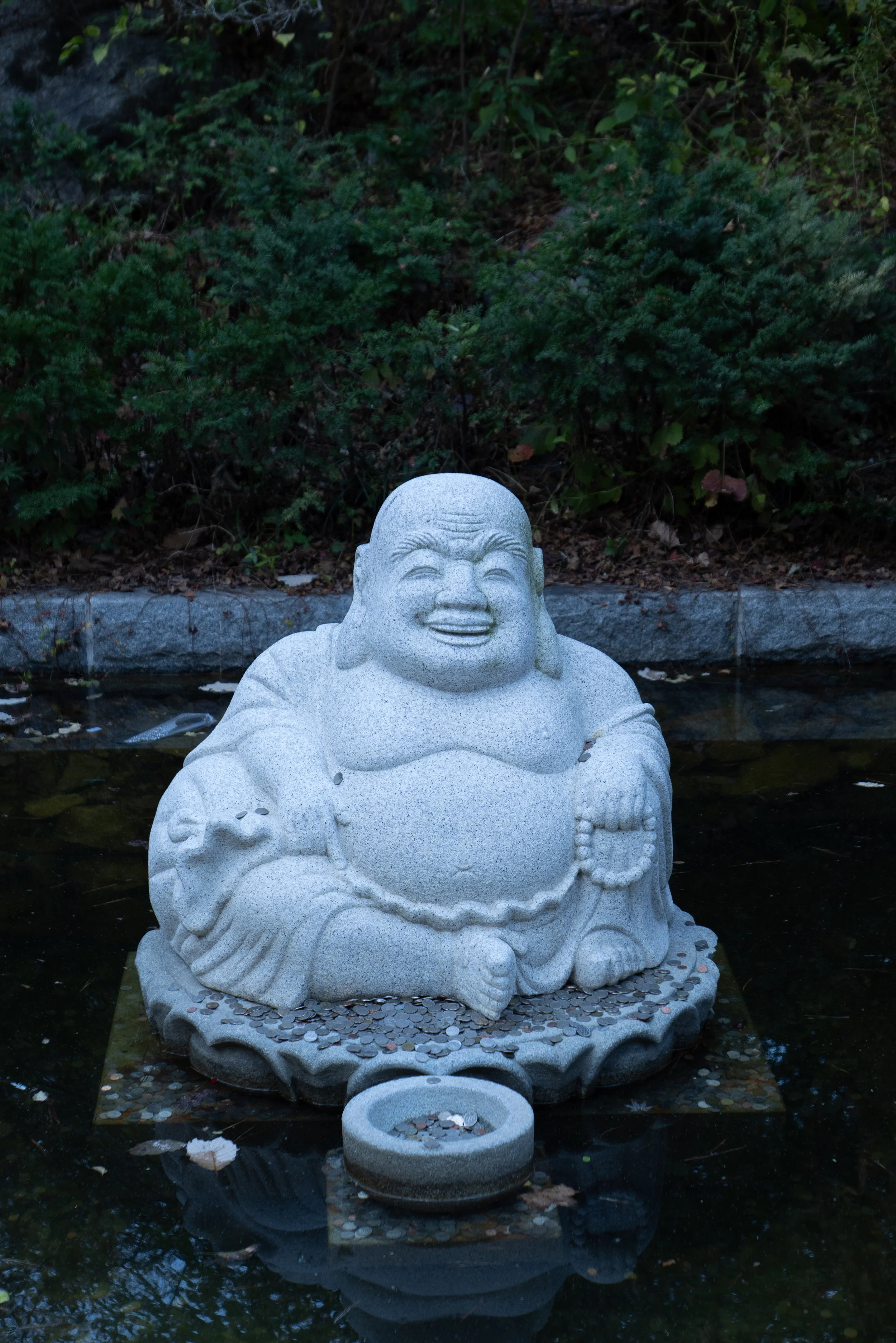 P1000145.jpg