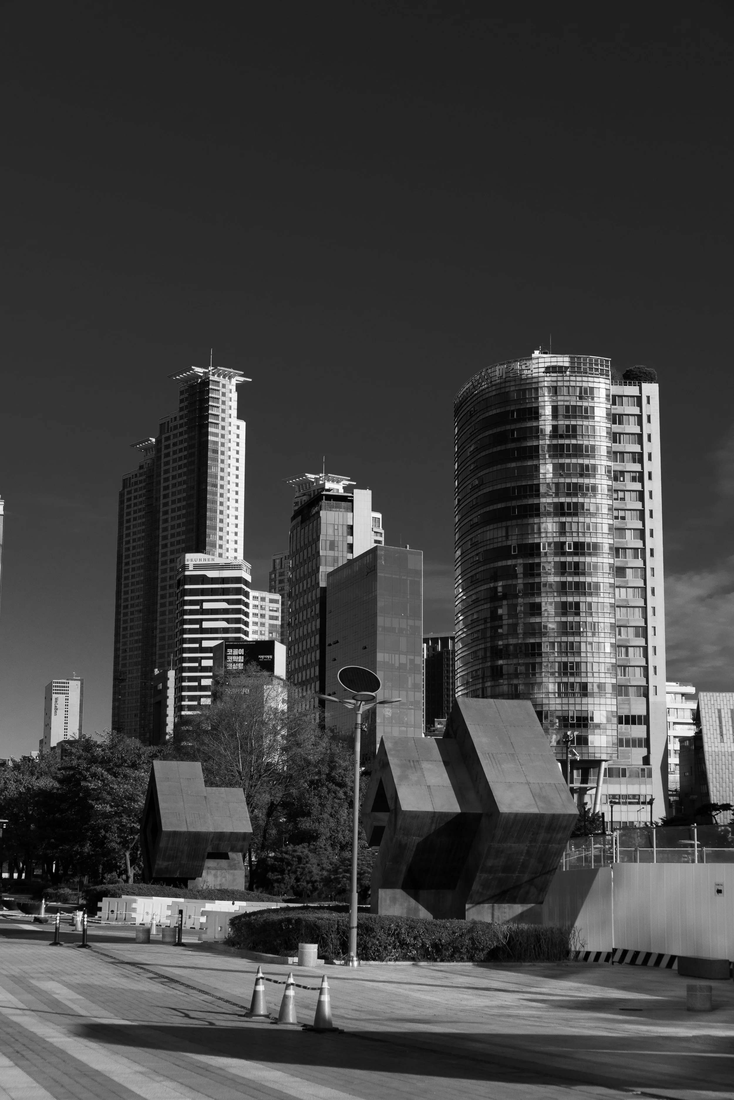 P1000119.jpg