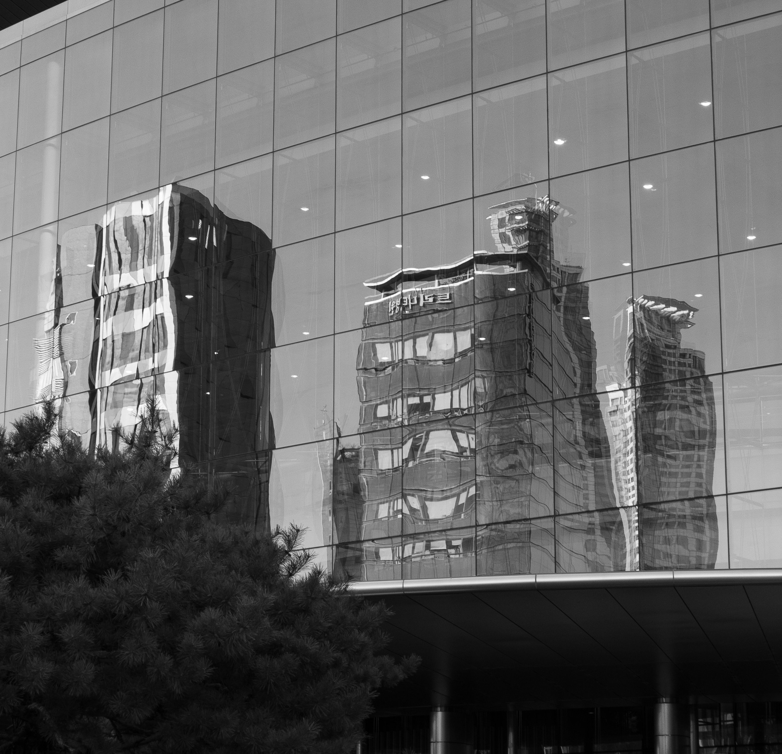 P1000194.jpg
