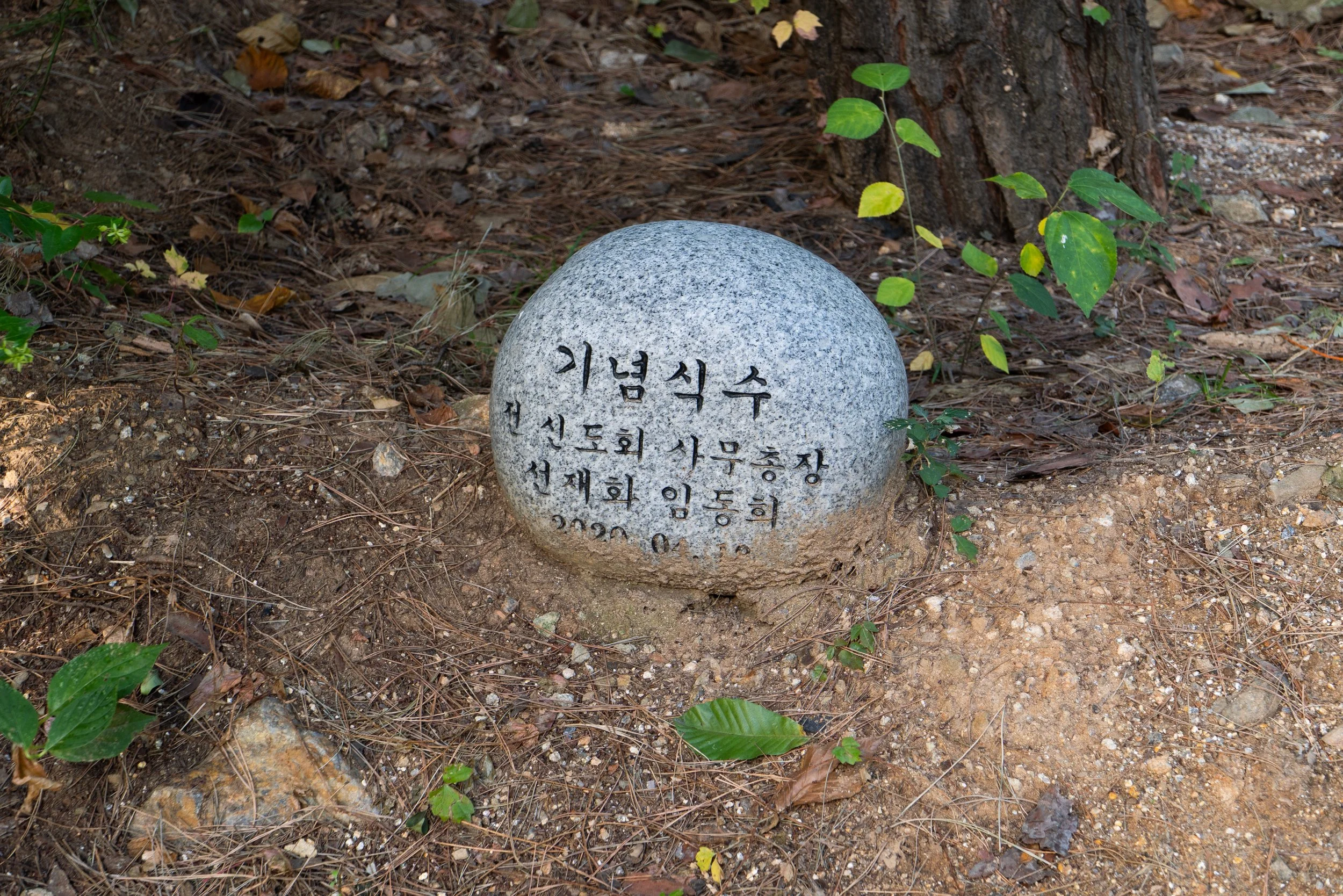 P1000159.jpg